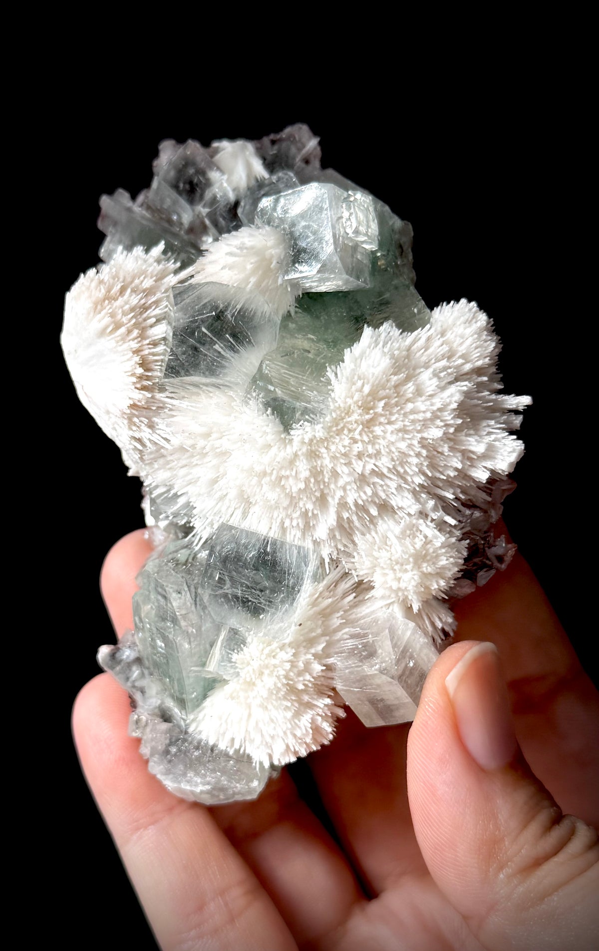 Green Apophyllite and Mordenite S5