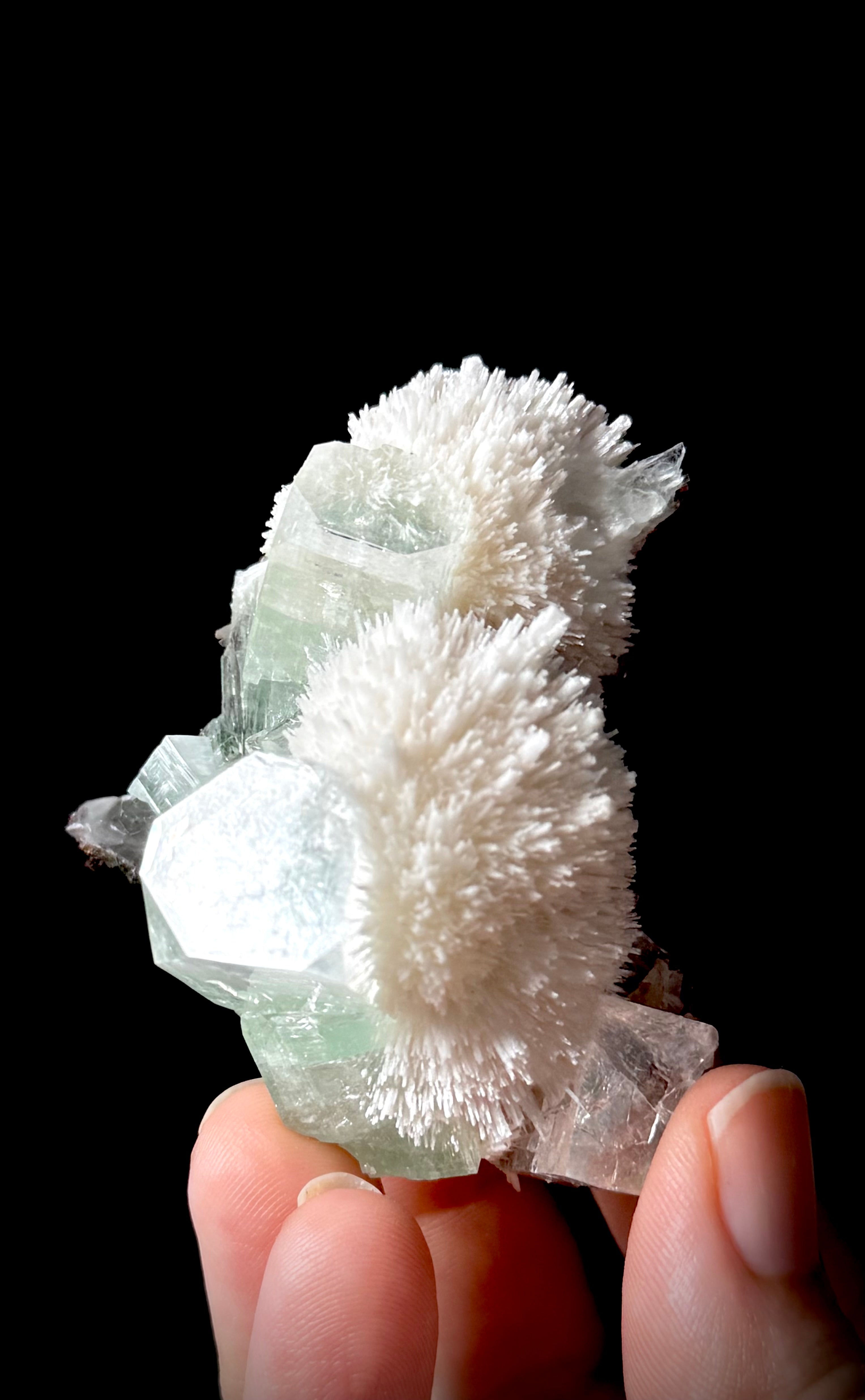 Green Apophyllite and Mordenite S8