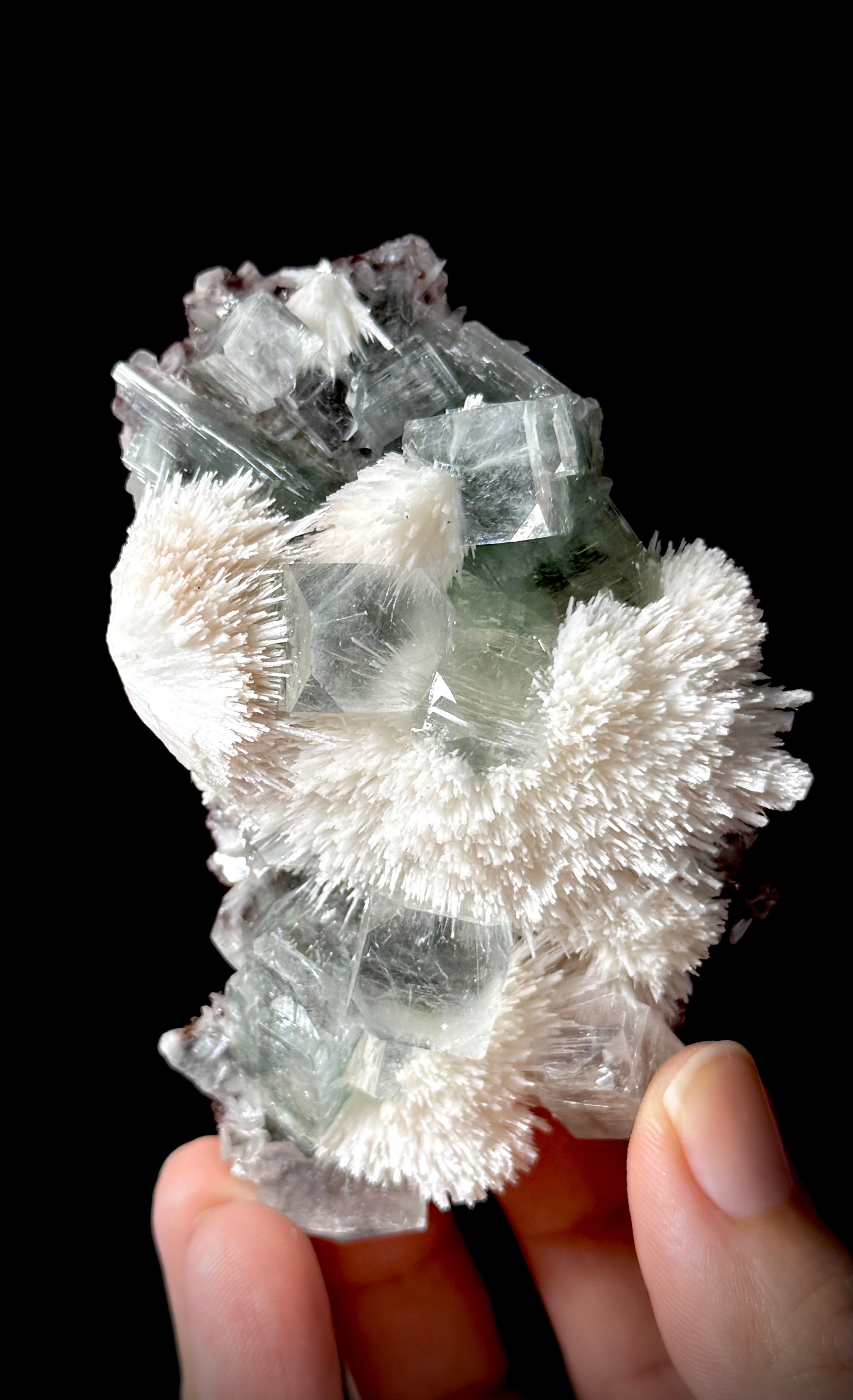Green Apophyllite and Mordenite S5