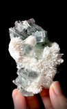 Green Apophyllite and Mordenite S5