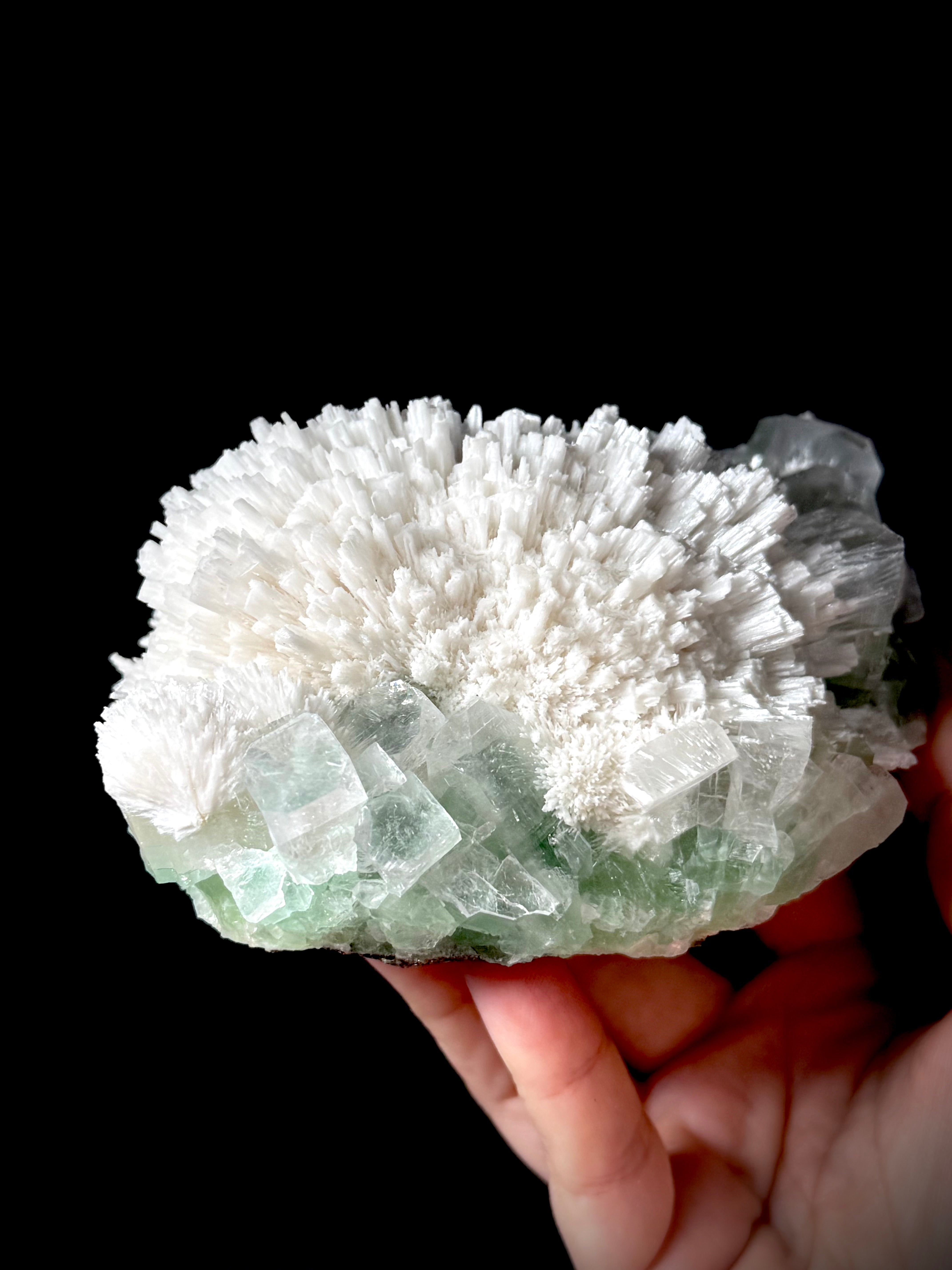 Green Apophyllite and Mordenite S4
