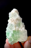 Green Apophyllite and Mordenite S12