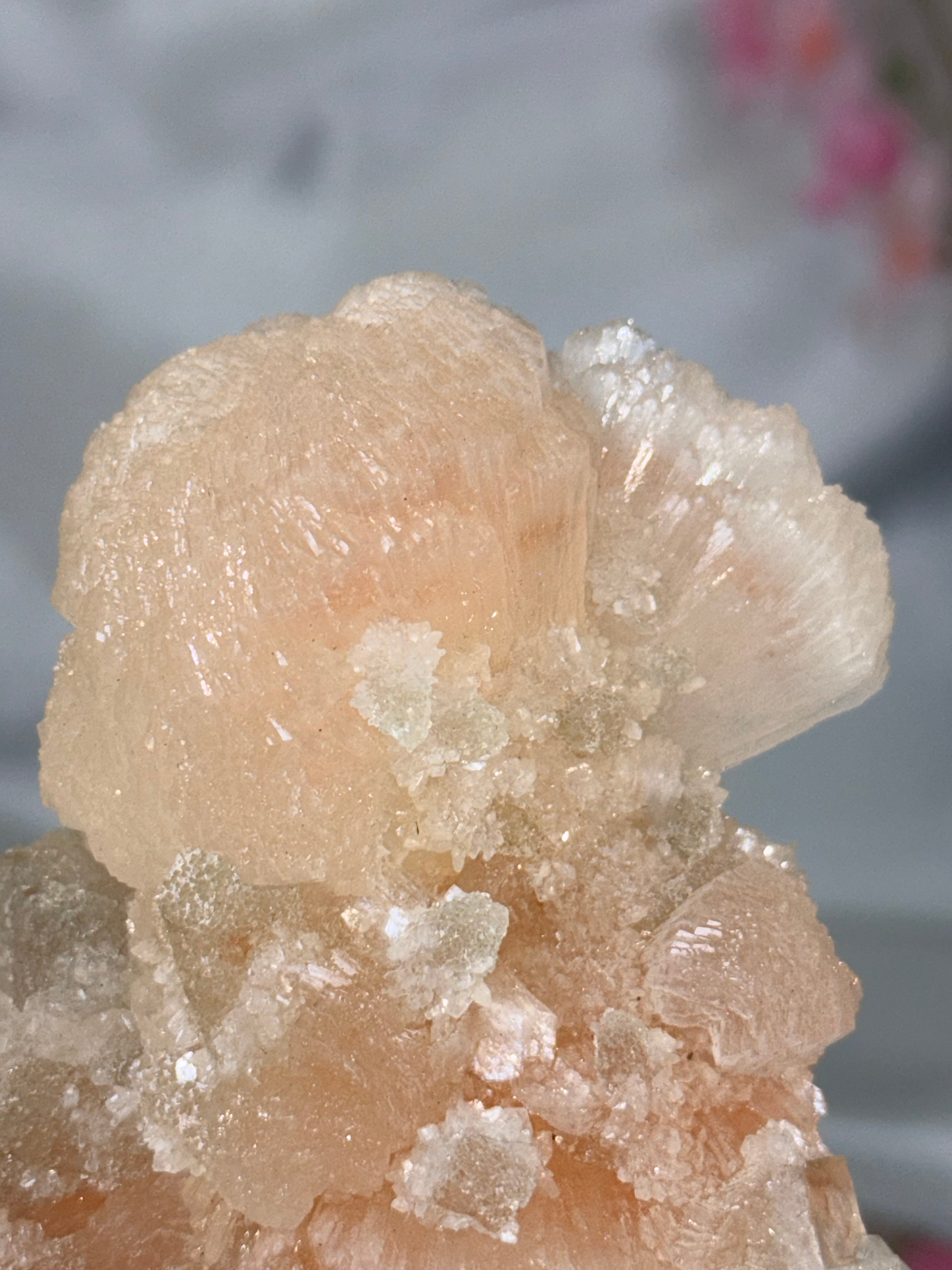 Sugar Coated Green Apophyllite with Stilbite