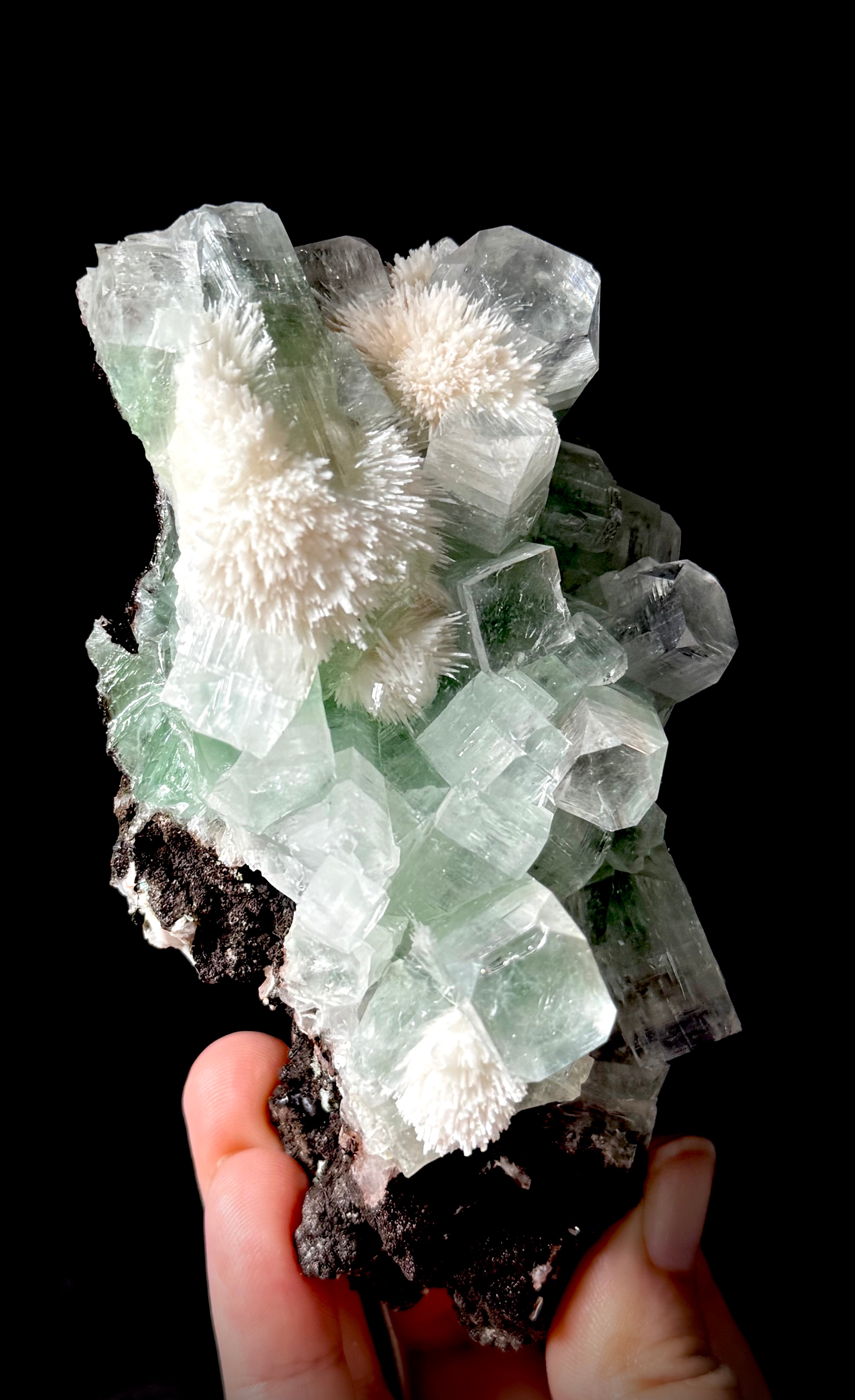 Green Apophyllite and Mordenite S6