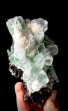 Green Apophyllite and Mordenite S6