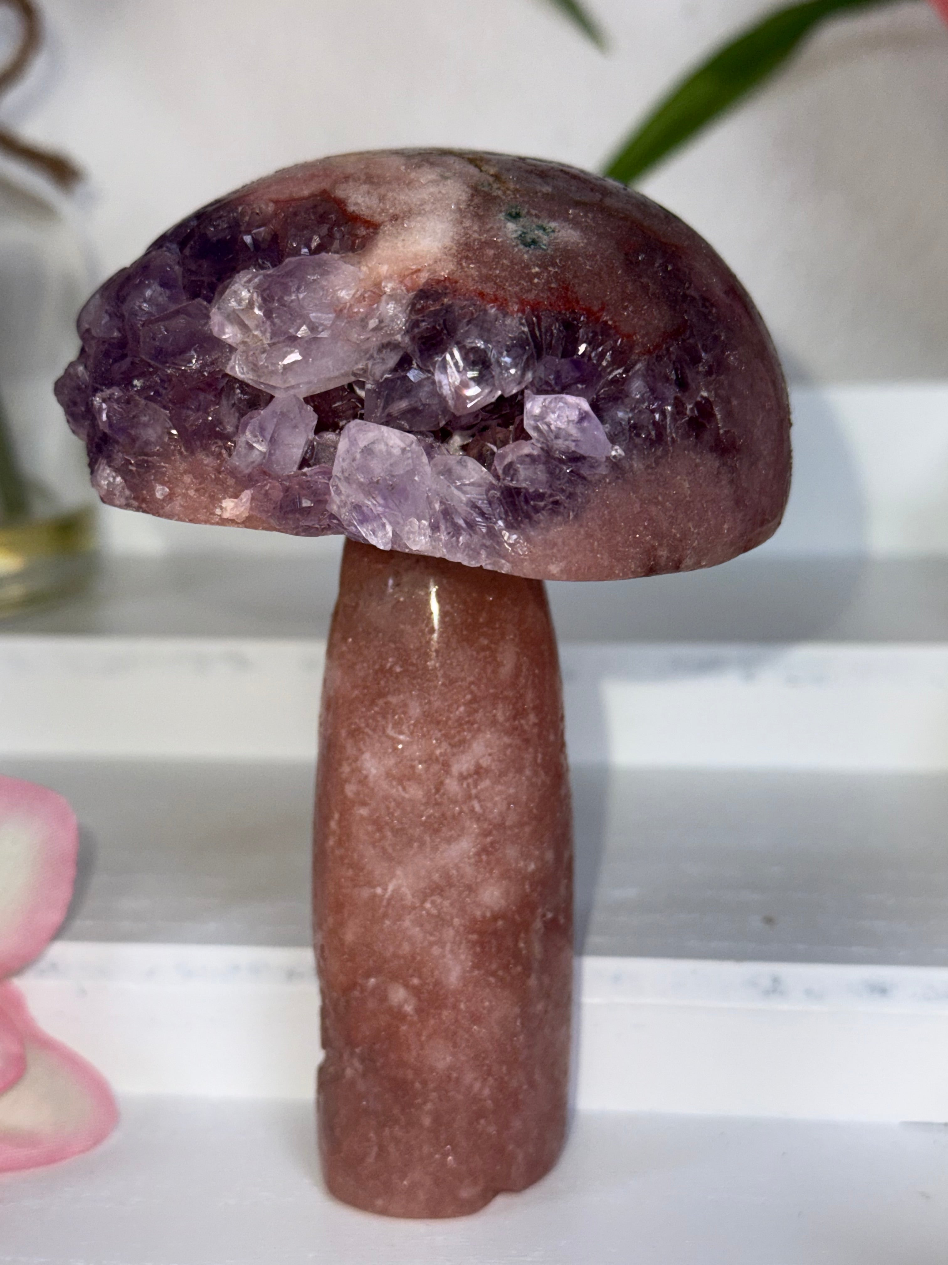 Pink Amethyst Mushroom A10048