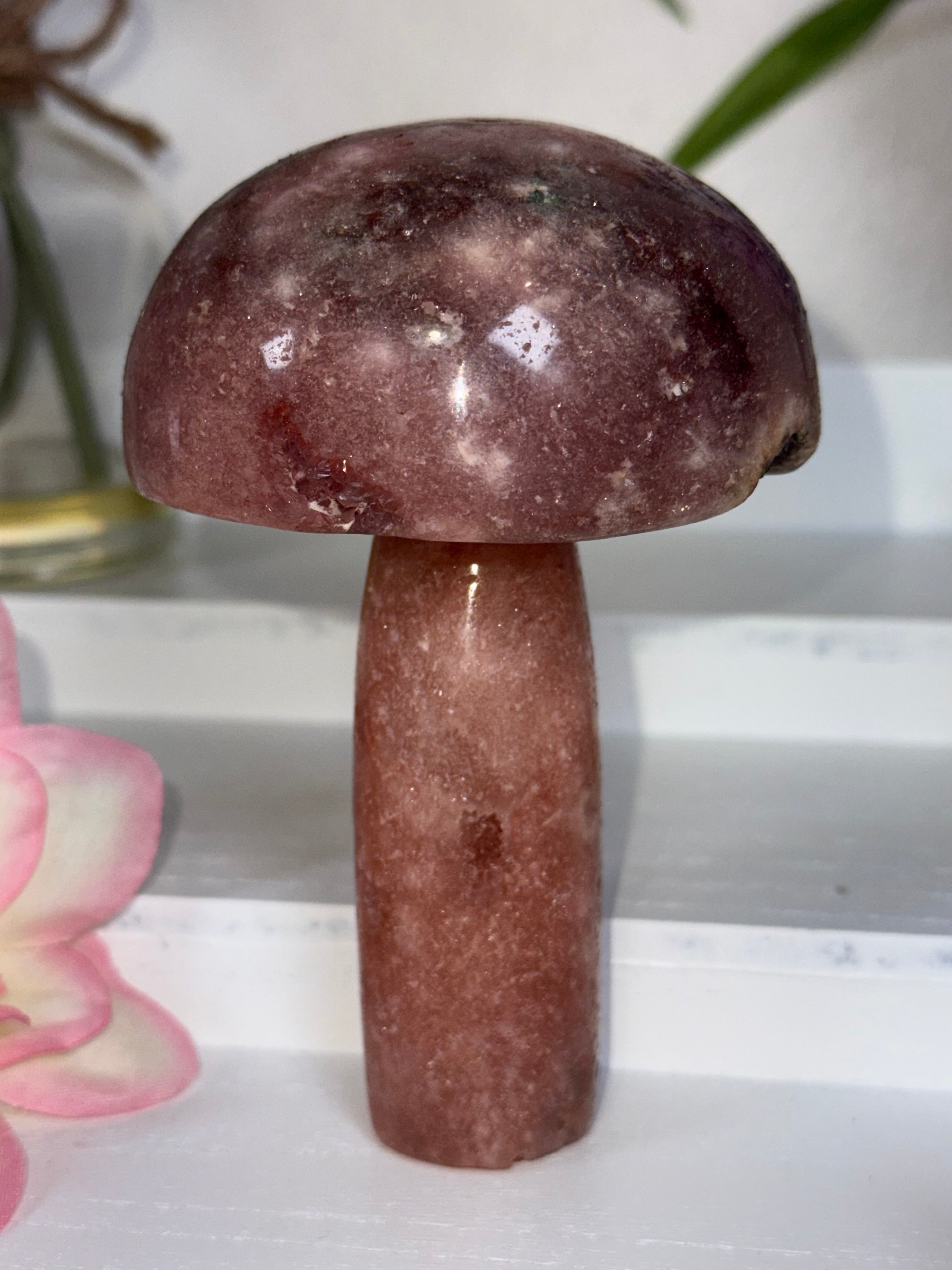 Pink Amethyst Mushroom A10048