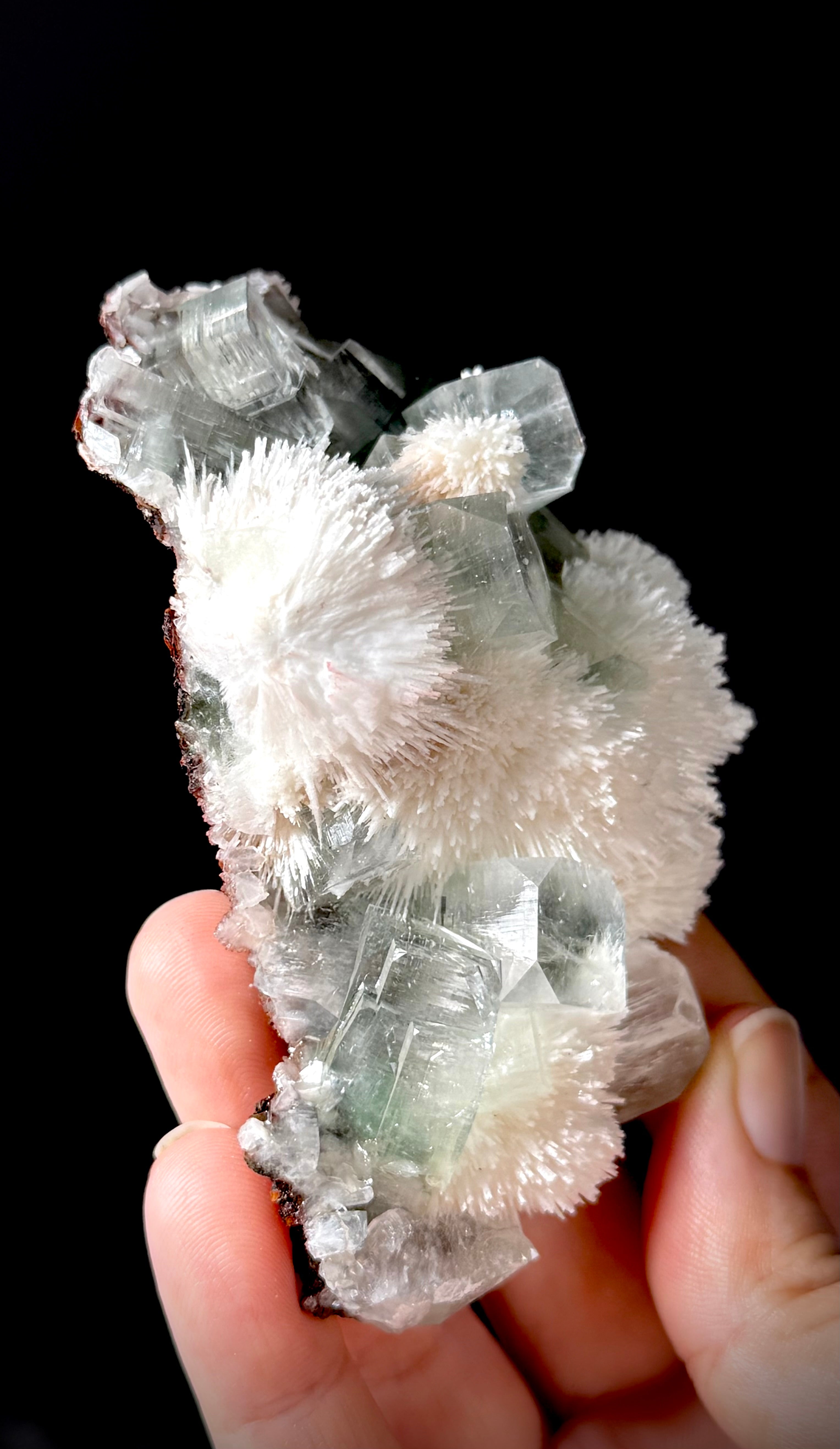 Green Apophyllite and Mordenite S5