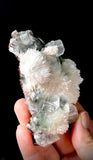 Green Apophyllite and Mordenite S5
