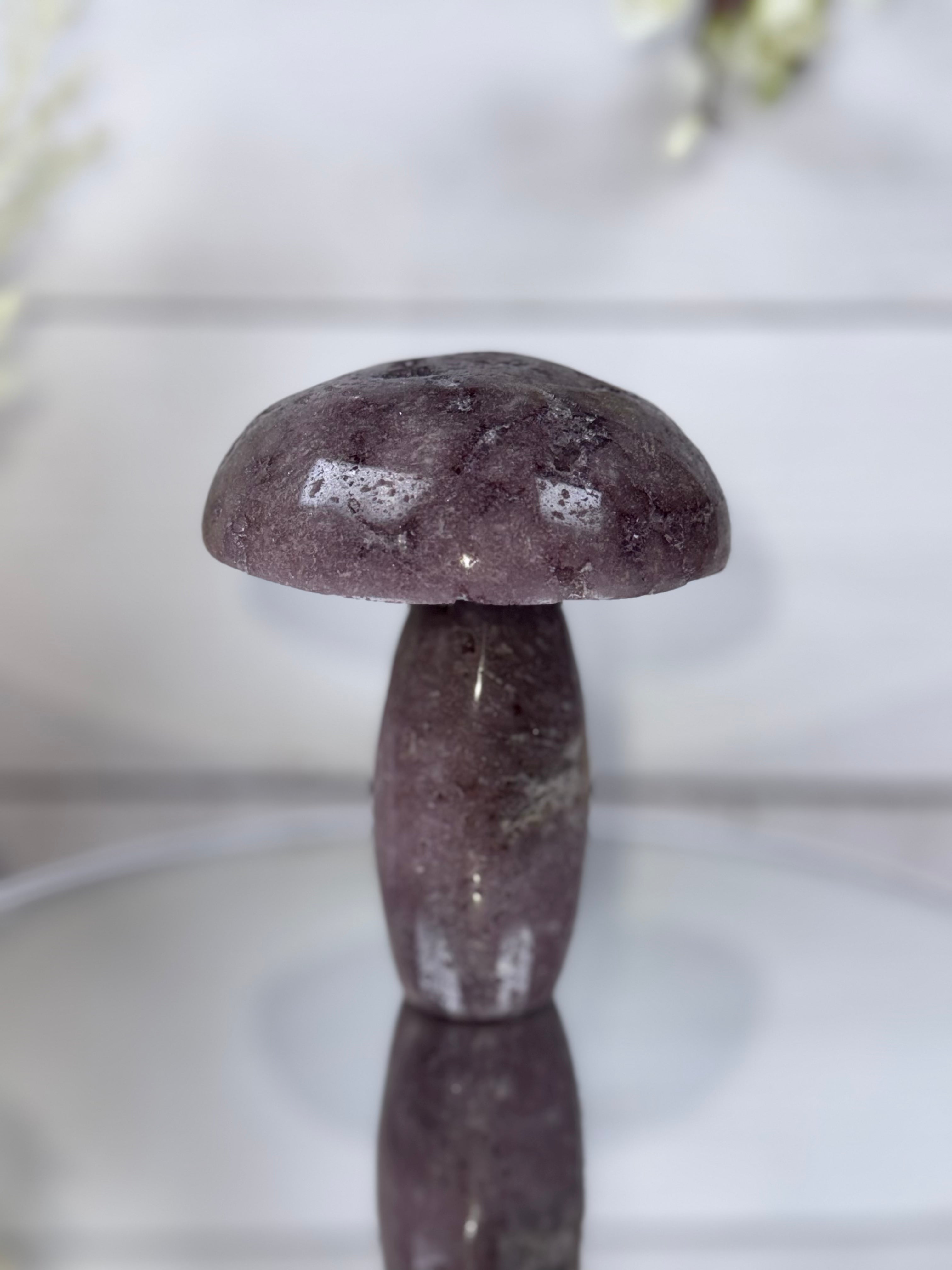 Pink Amethyst Mushroom A10085