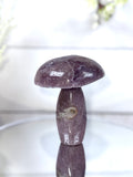 Pink Amethyst Mushroom A10085