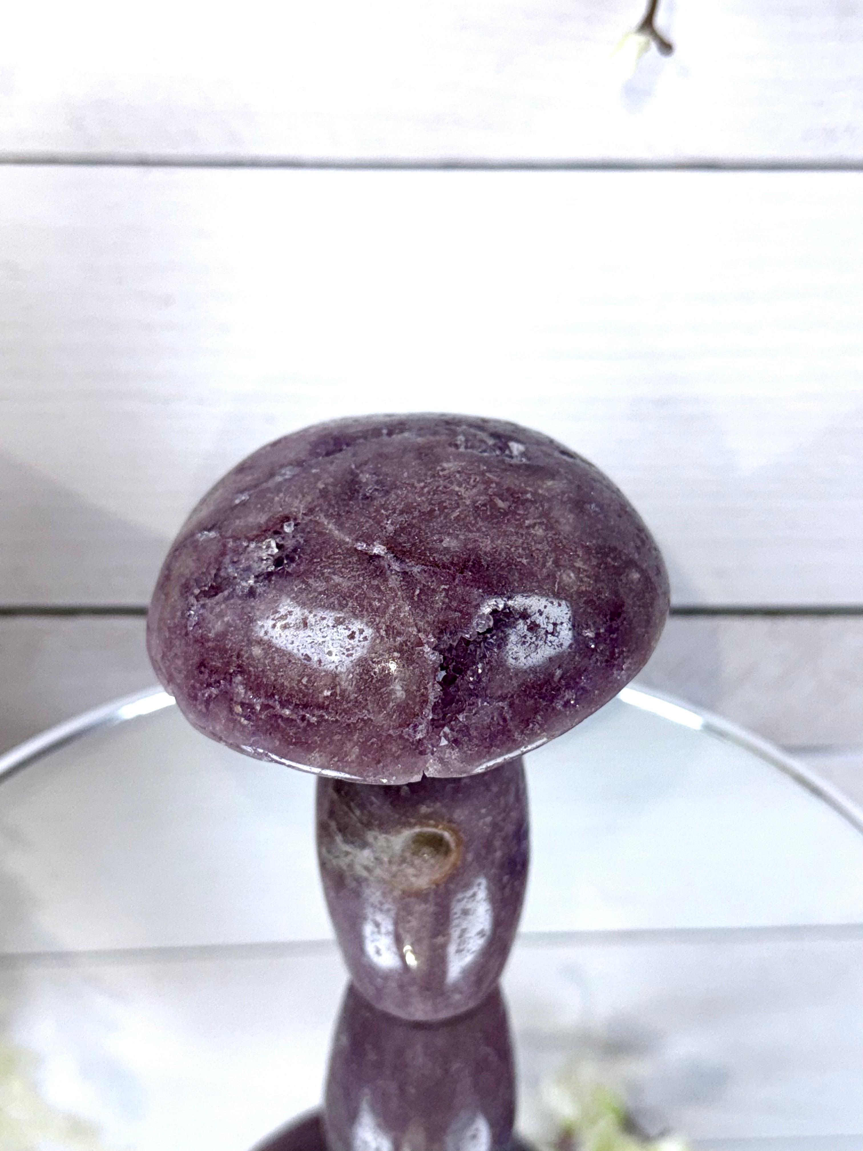 Pink Amethyst Mushroom A10085