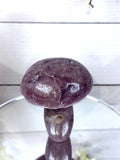 Pink Amethyst Mushroom A10085