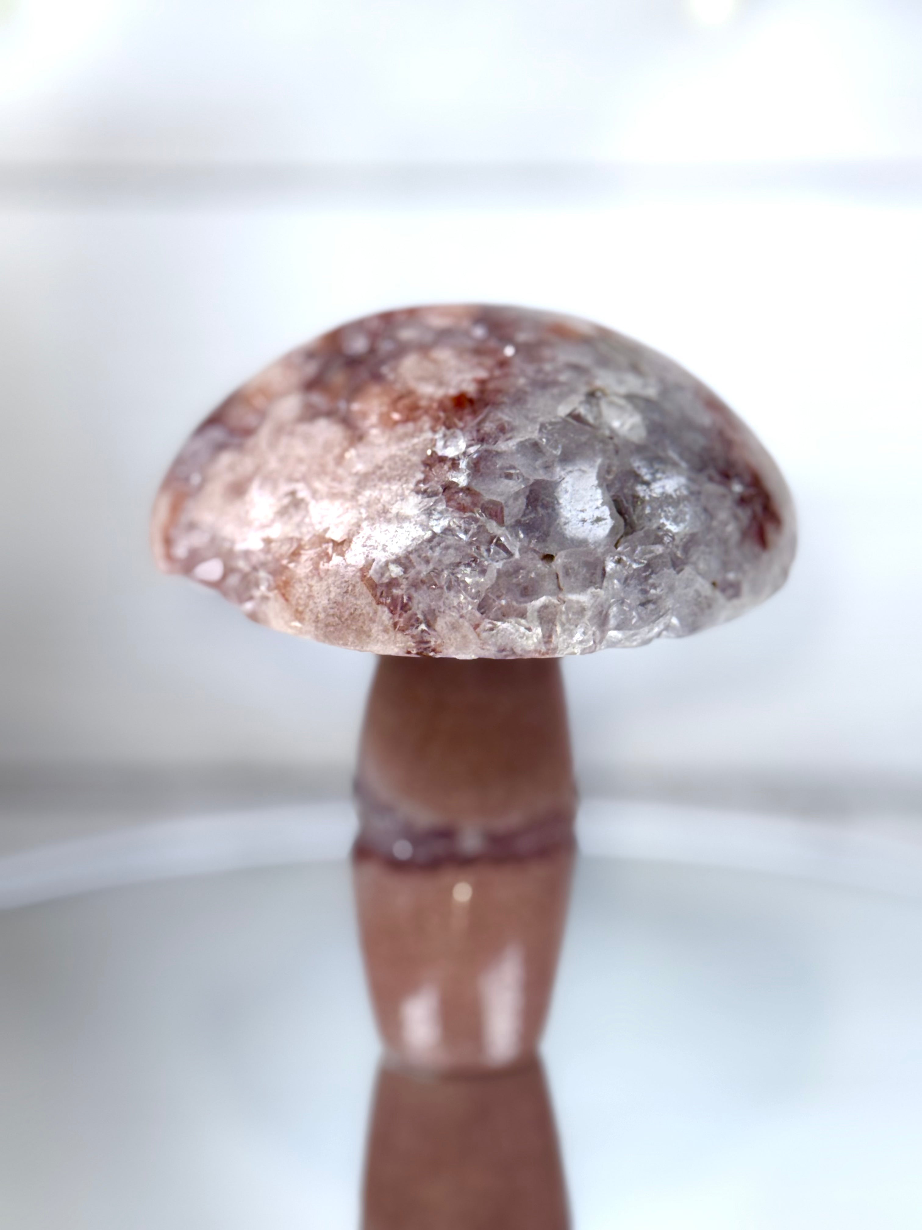 Pink Amethyst Mushroom A10097