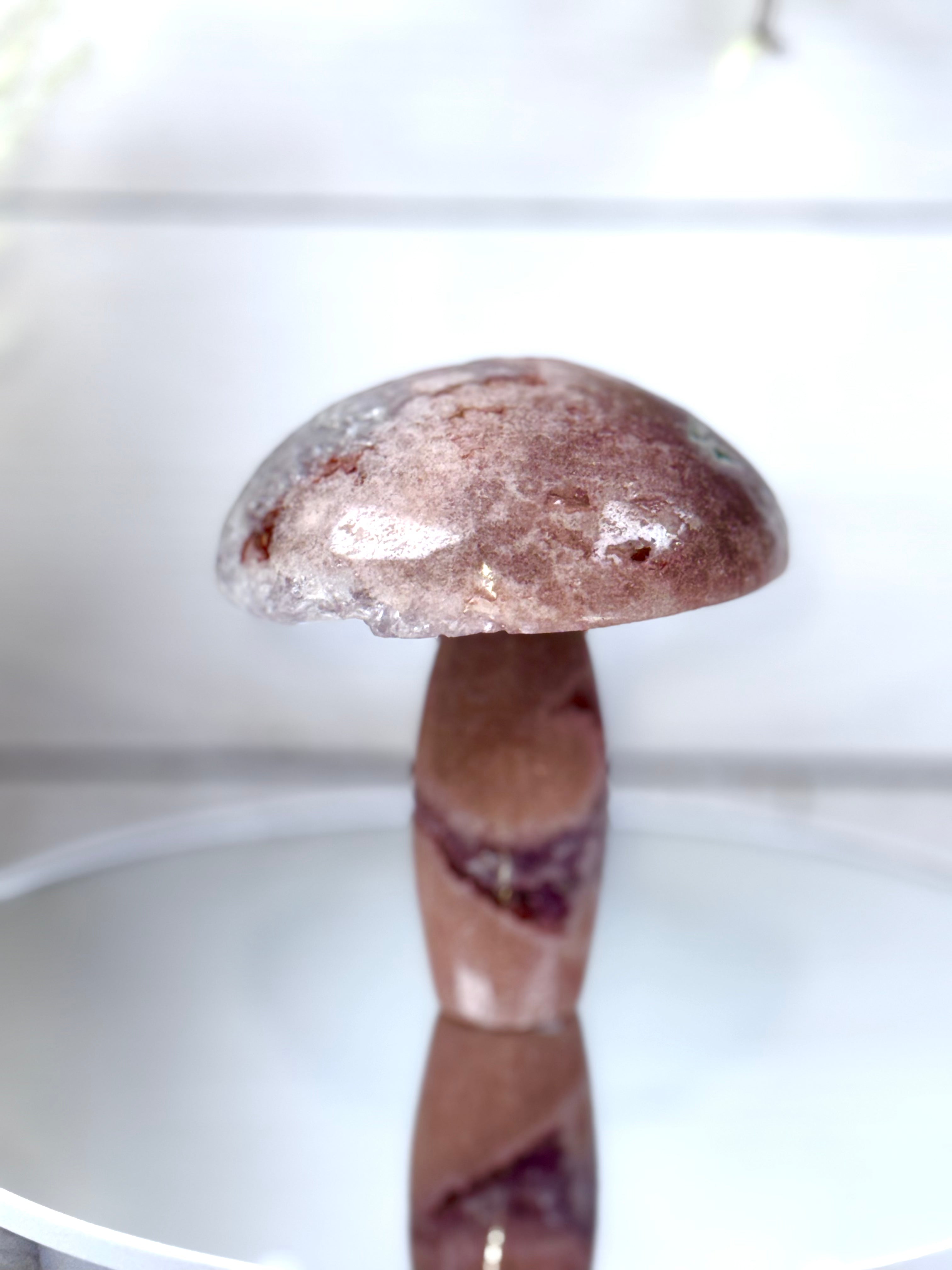 Pink Amethyst Mushroom A10097