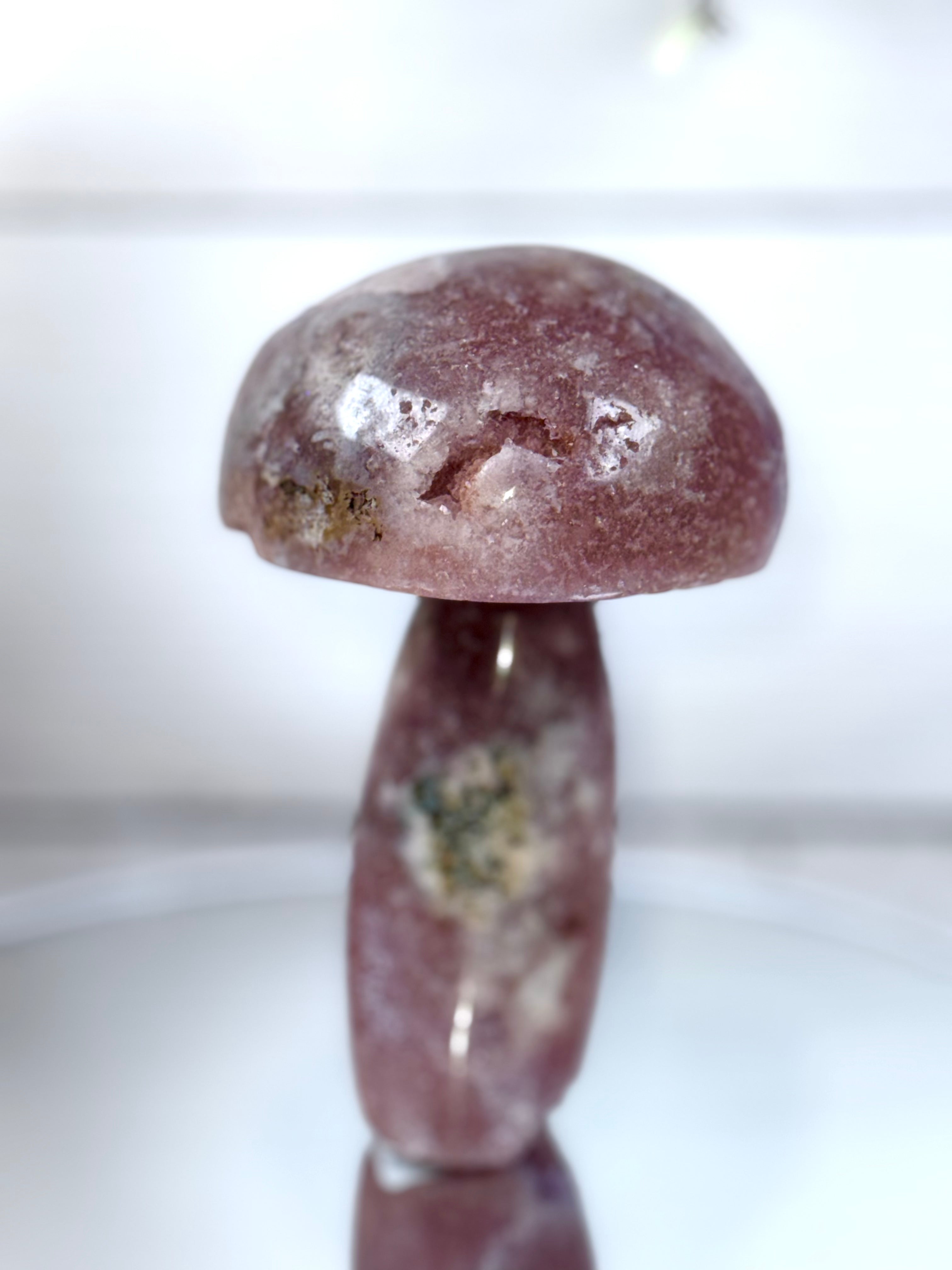 Pink Amethyst Mushroom A10089