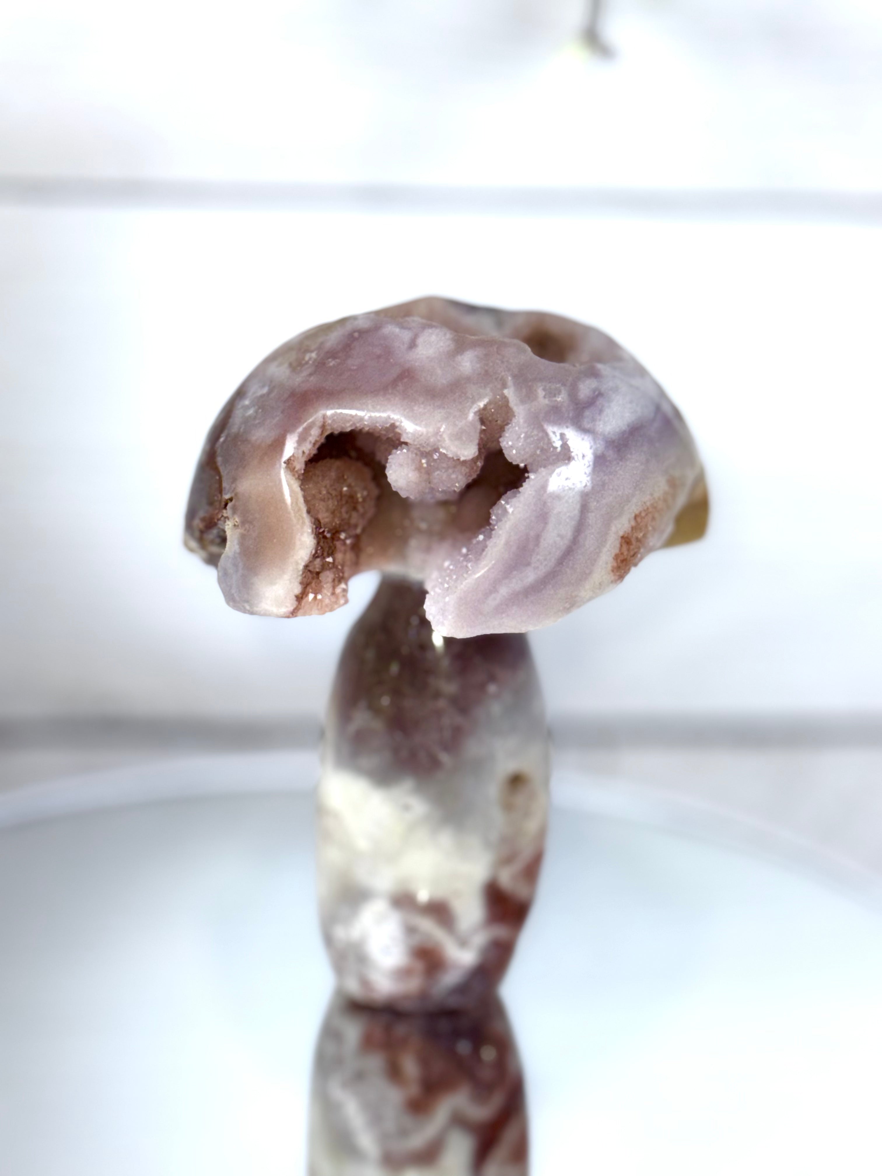 Pink Amethyst Mushroom A10086