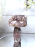 Pink Amethyst Mushroom A10087
