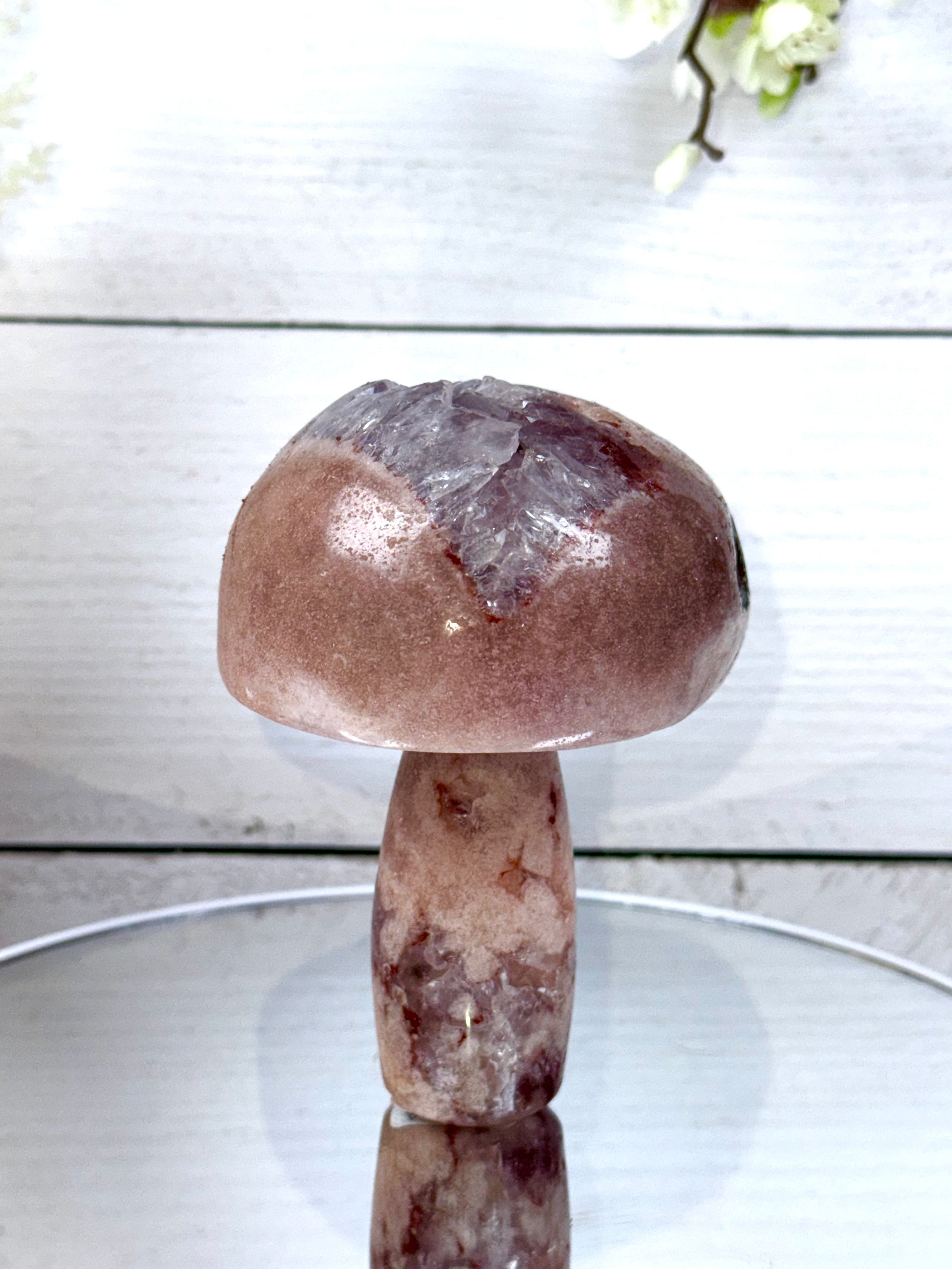 Pink Amethyst Mushroom A10096