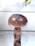 Pink Amethyst Mushroom A10096