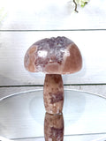Pink Amethyst Mushroom A10096