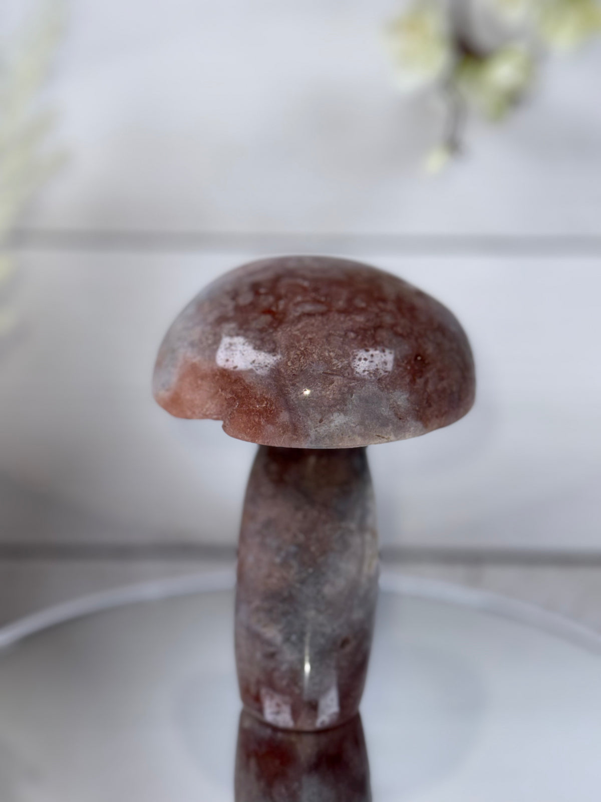 Pink Amethyst Mushroom A10092