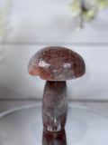 Pink Amethyst Mushroom A10092