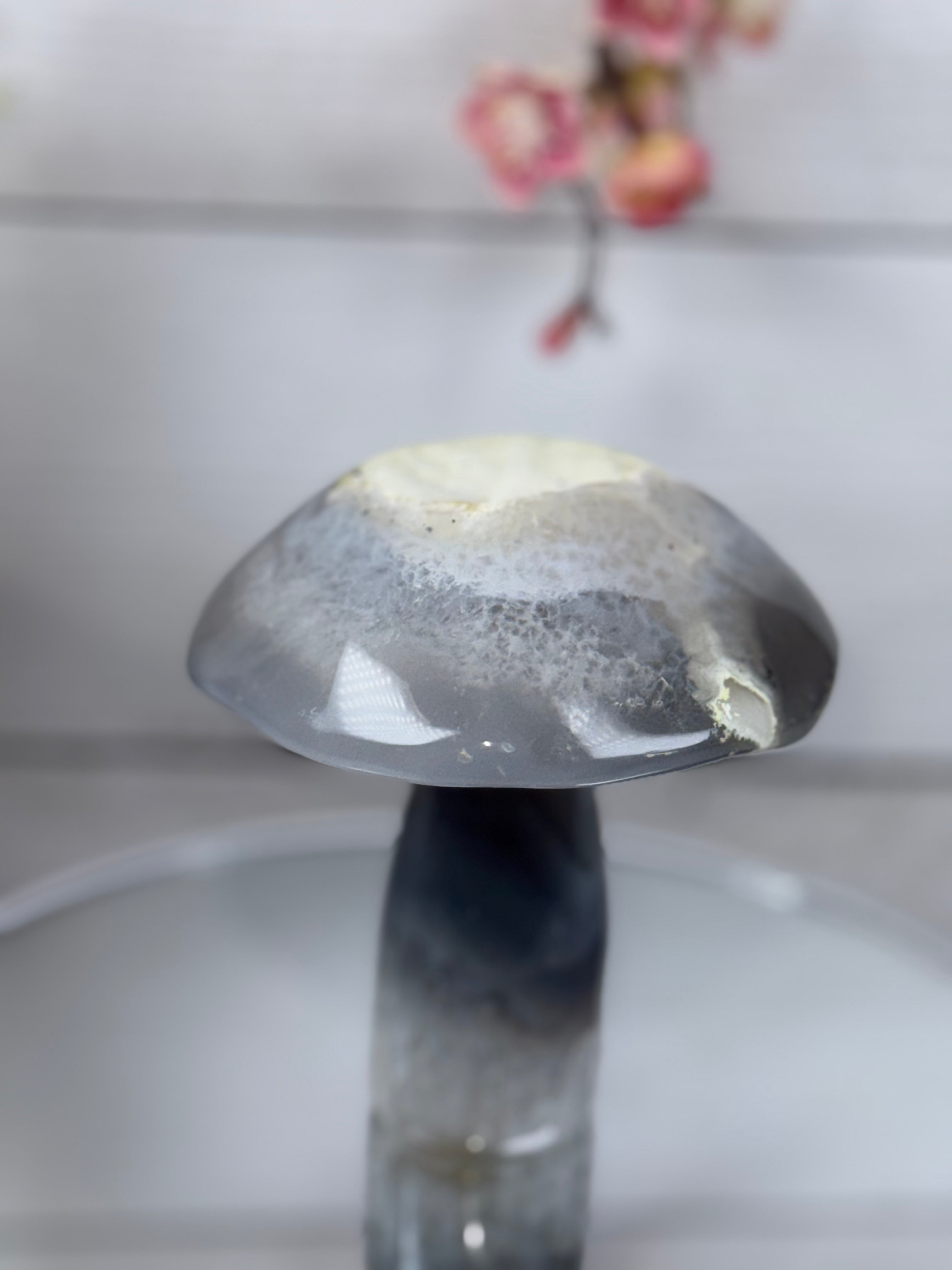 Brazilian Agate Mushroom A1102