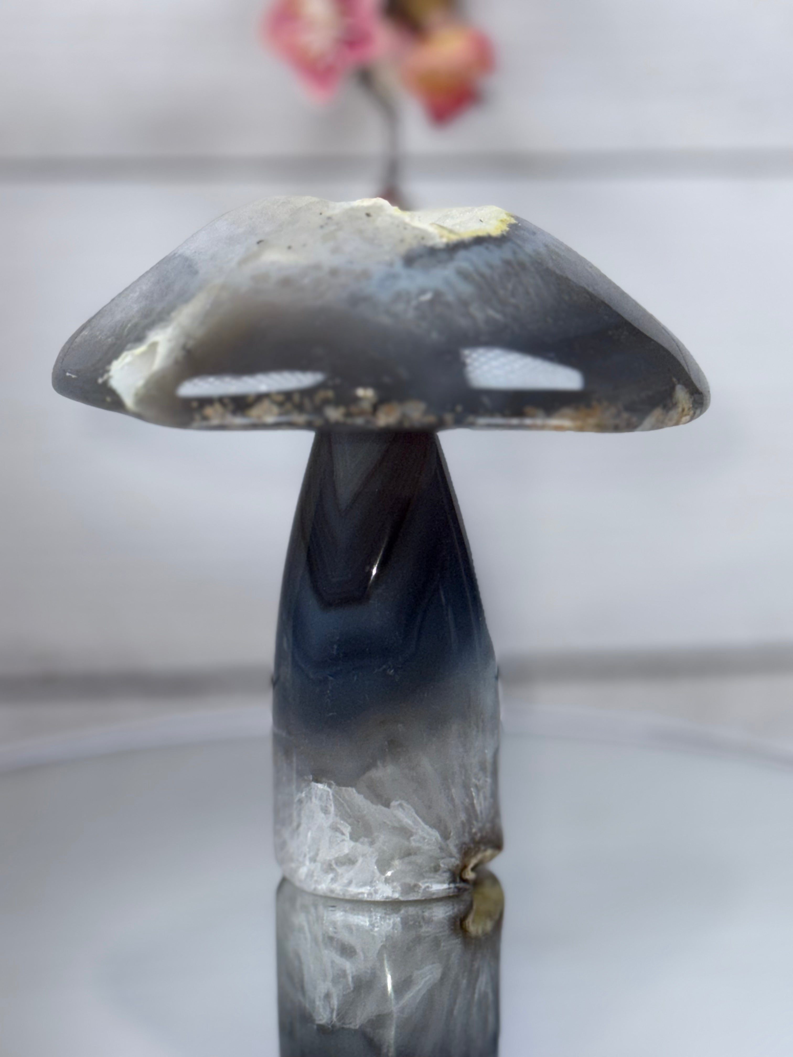 Brazilian Agate Mushroom A1102