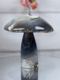 Brazilian Agate Mushroom A1102
