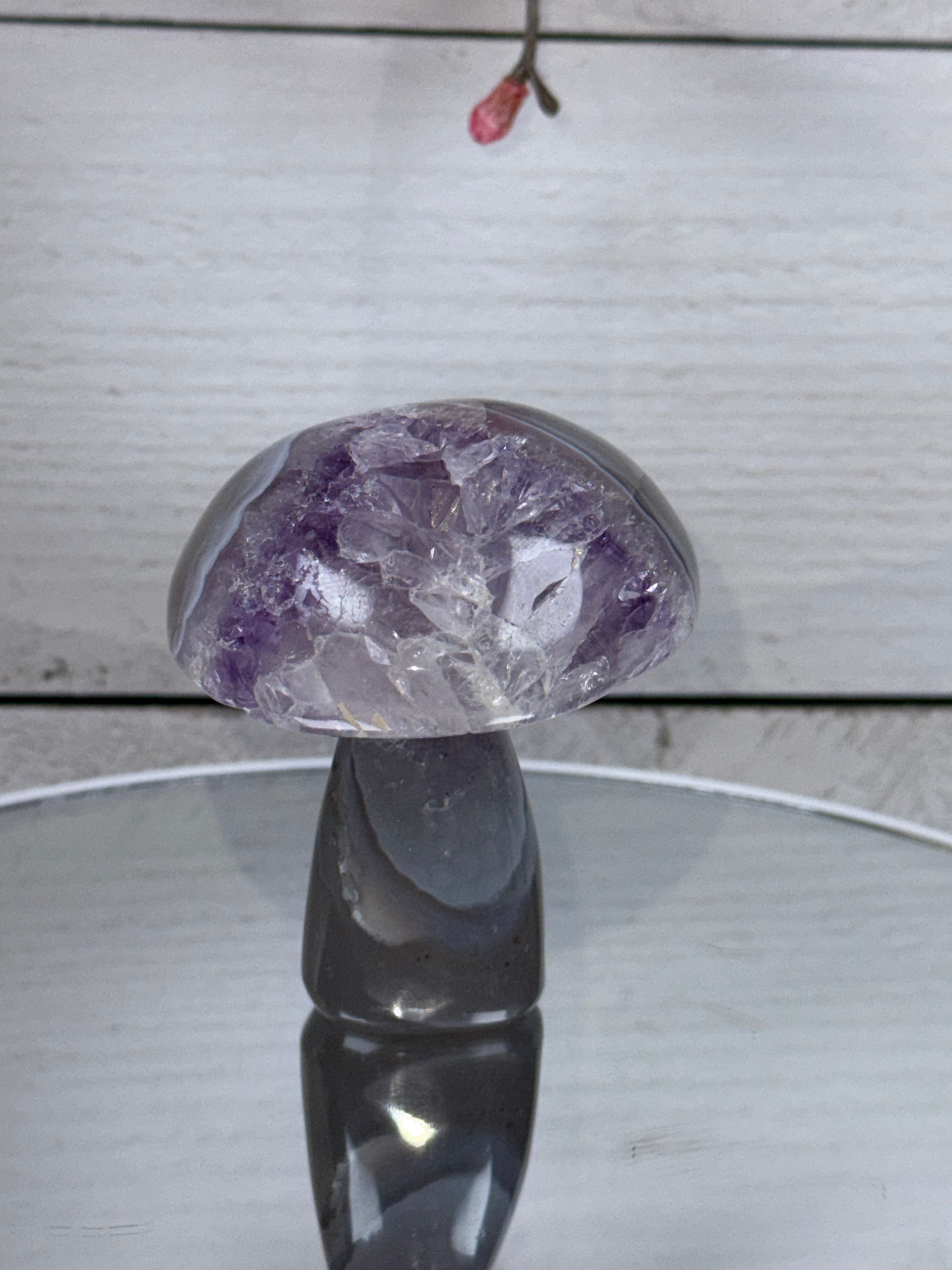 Brazilian Agate Mushroom A1103