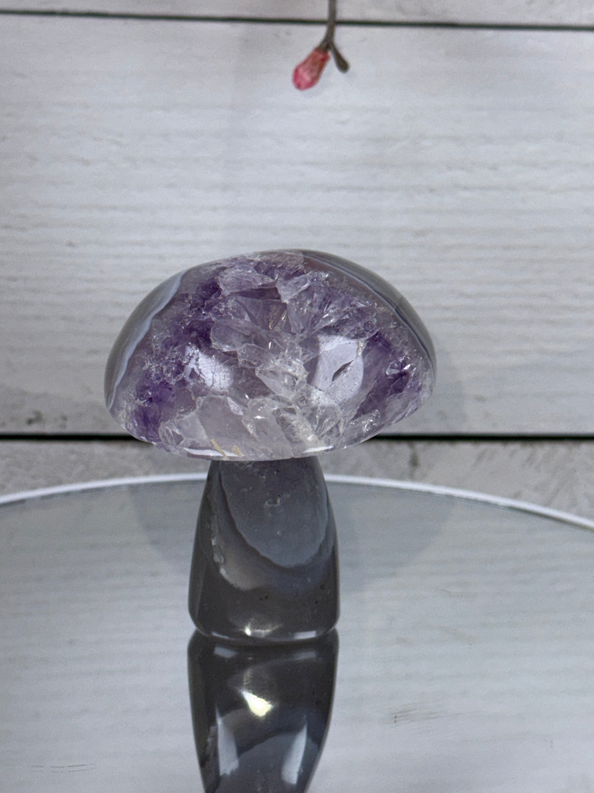 Brazilian Agate Mushroom A1103