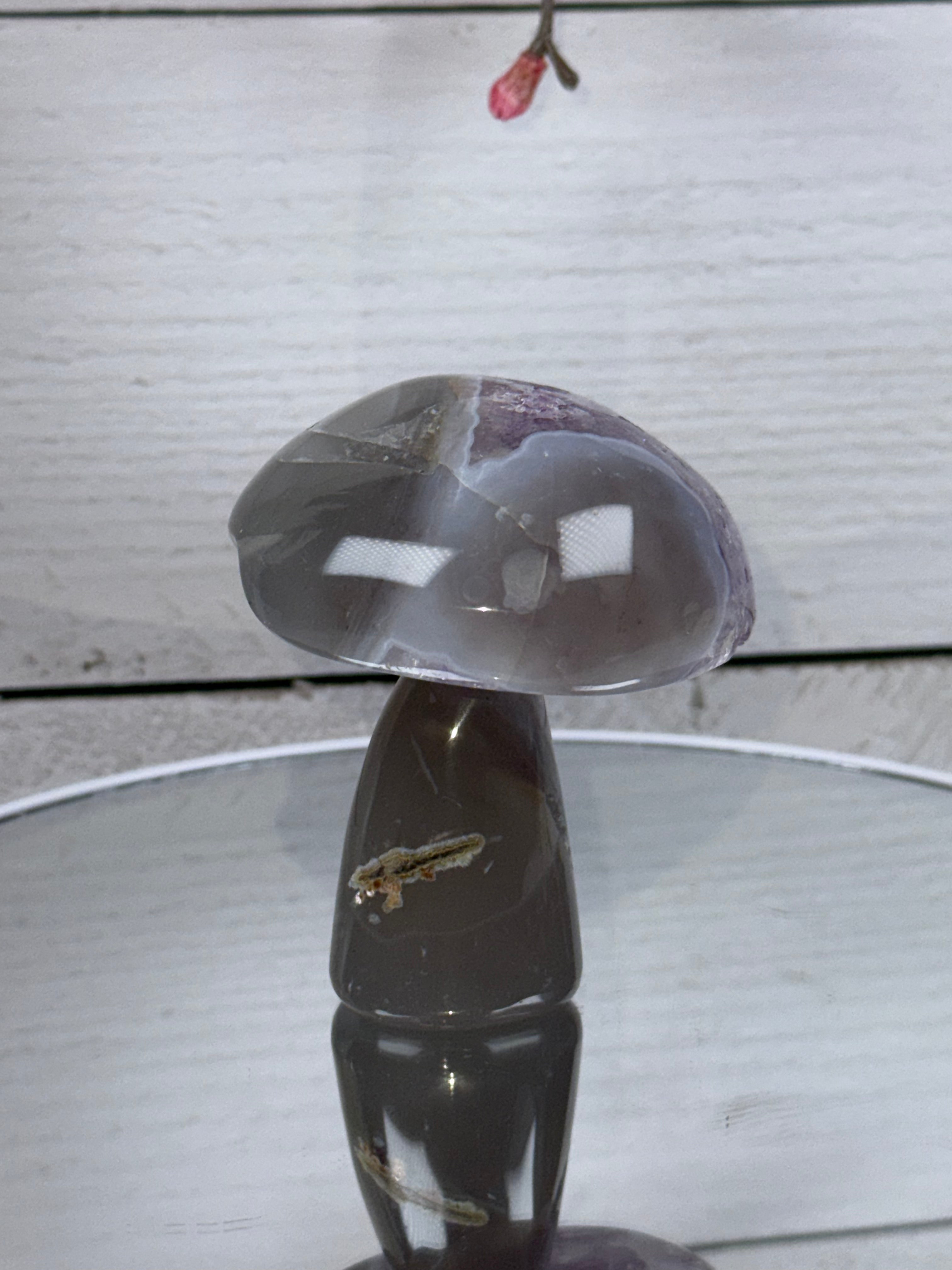 Brazilian Agate Mushroom A1103