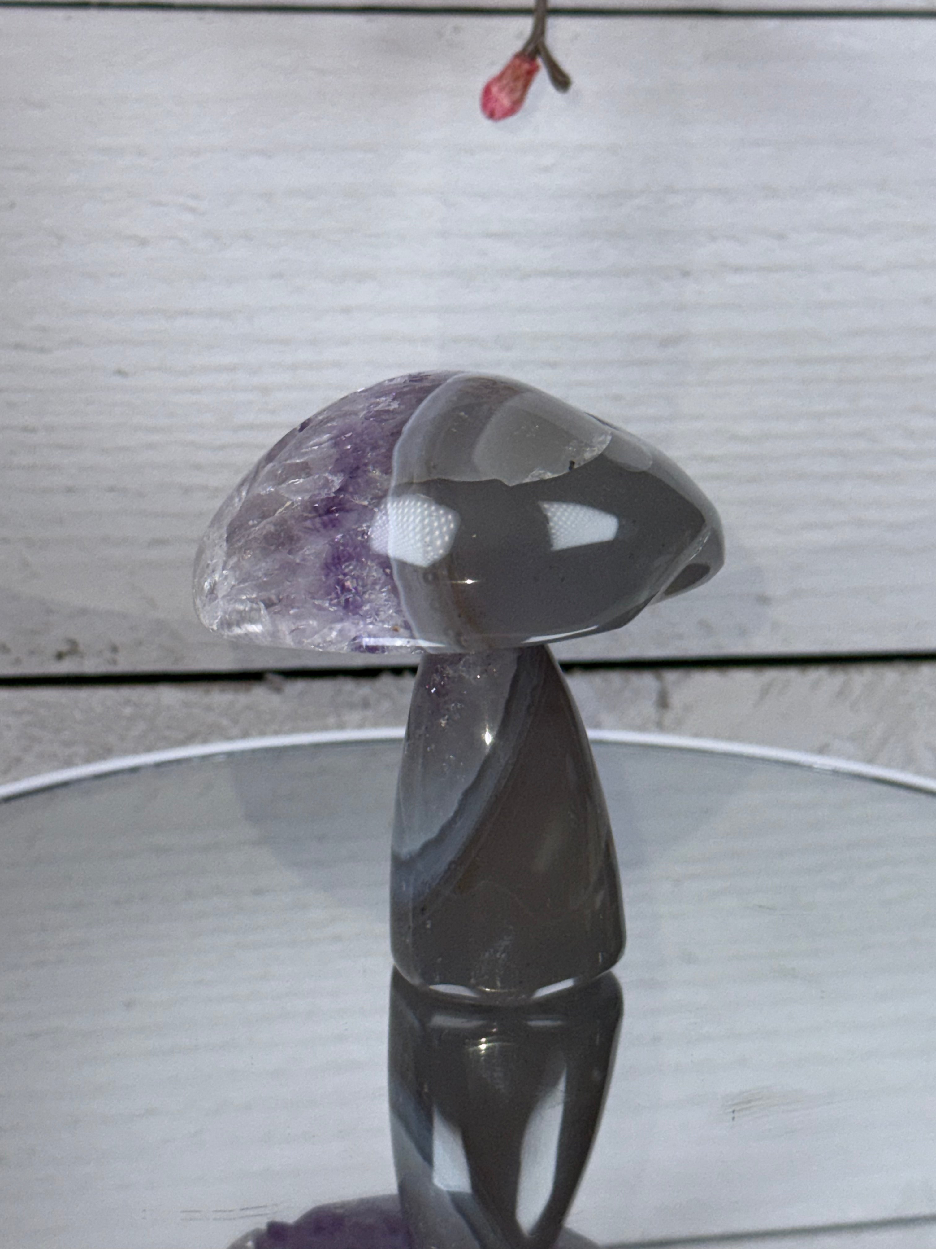 Brazilian Agate Mushroom A1103