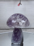 Brazilian Agate Mushroom A1105