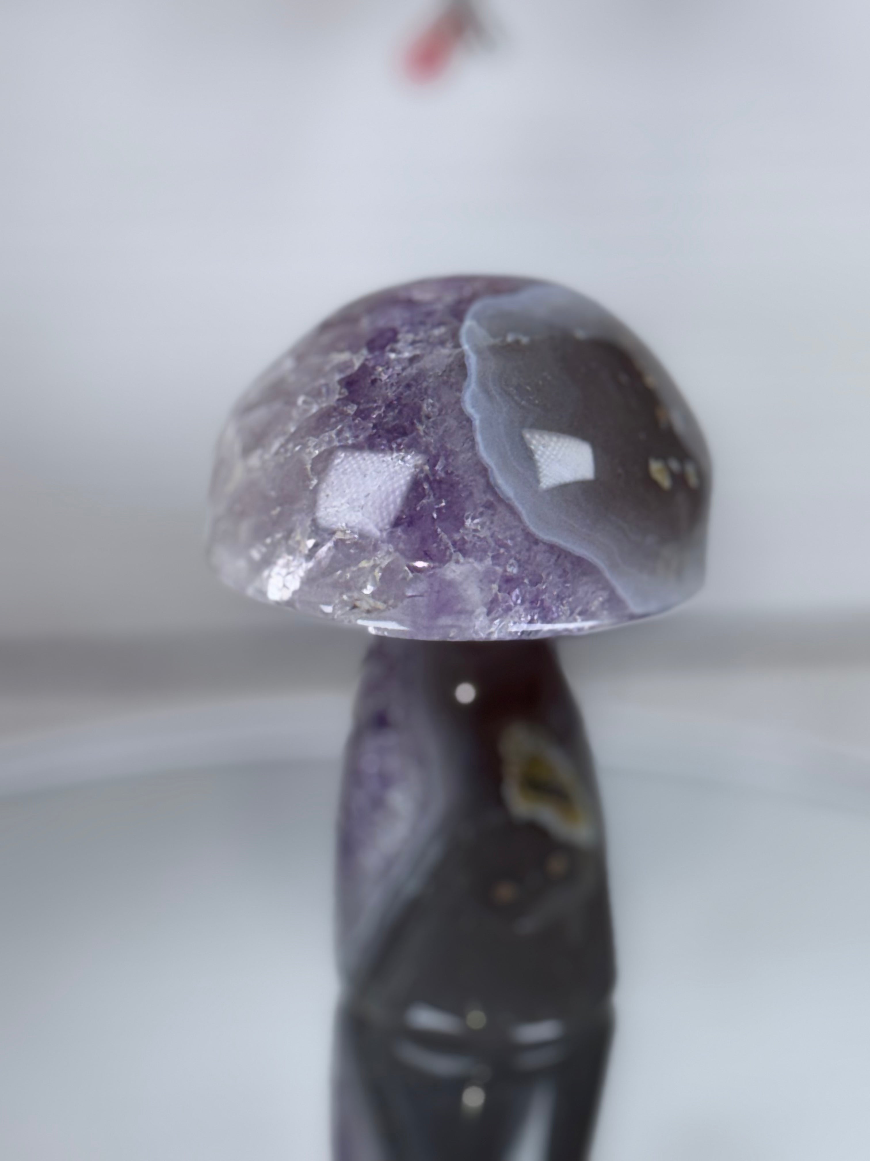 Brazilian Agate Mushroom A1105