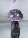 Brazilian Agate Mushroom A1105