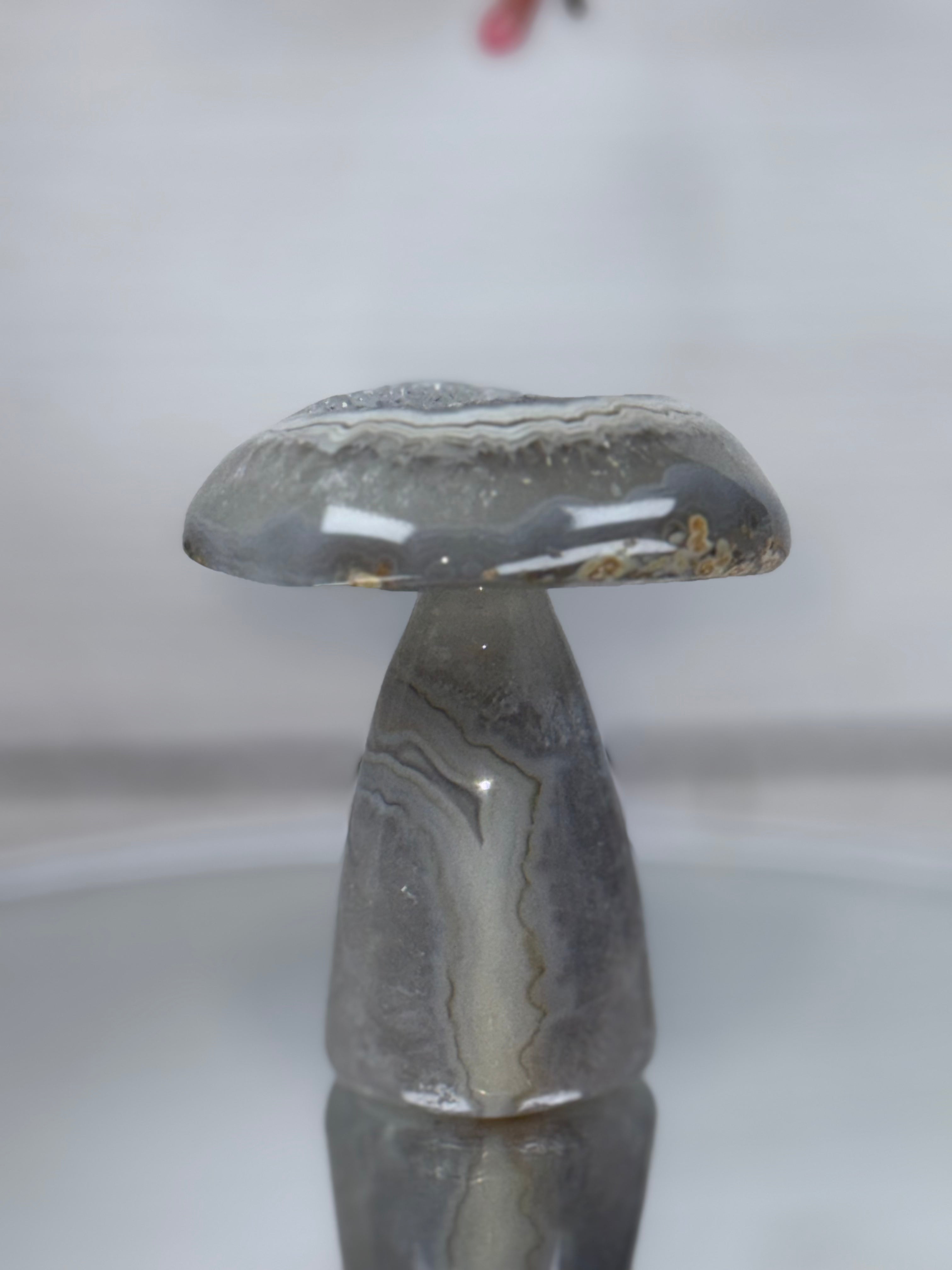 Brazilian Agate Mushroom A1106