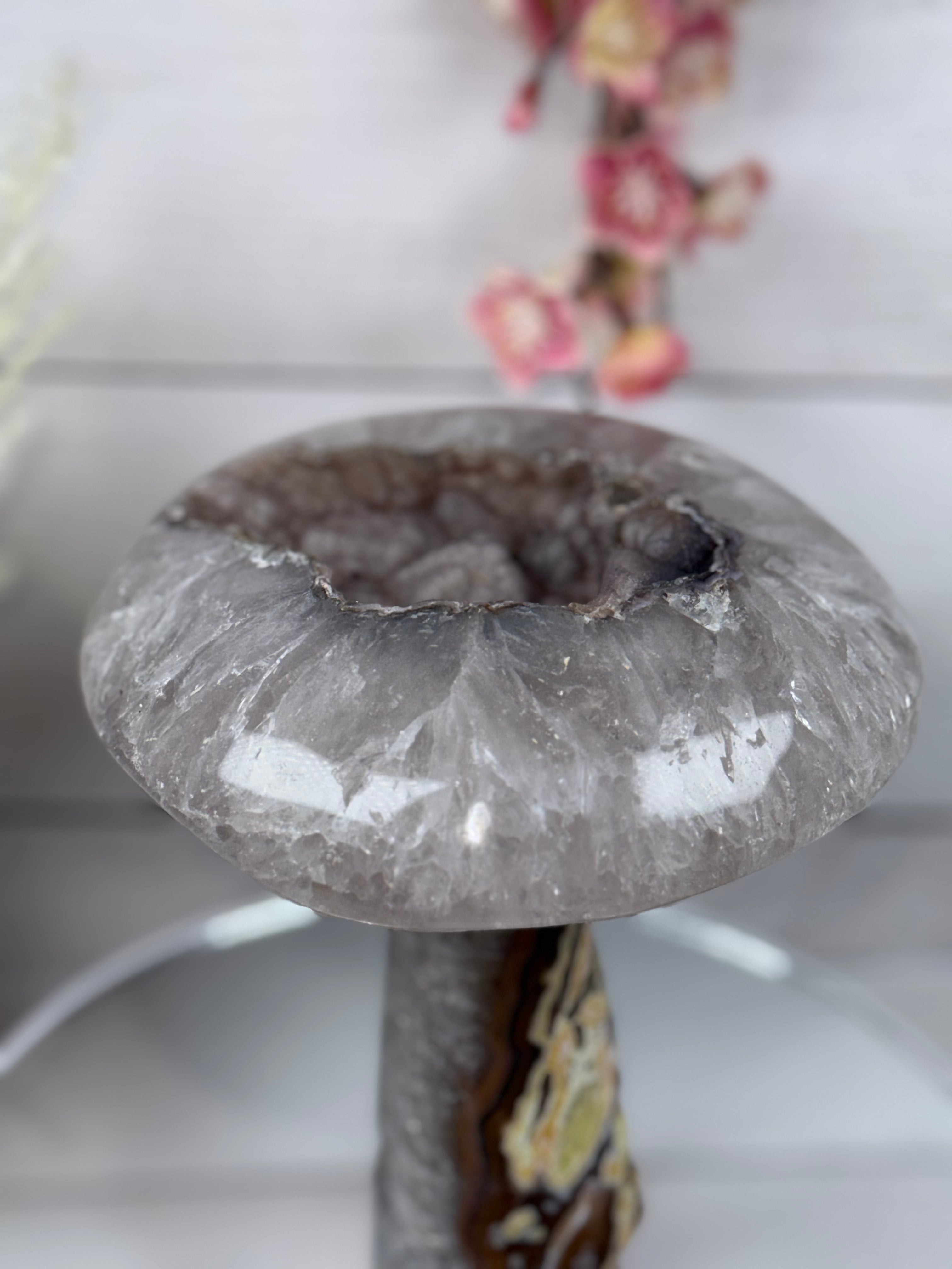 Brazilian Agate Mushroom A1107