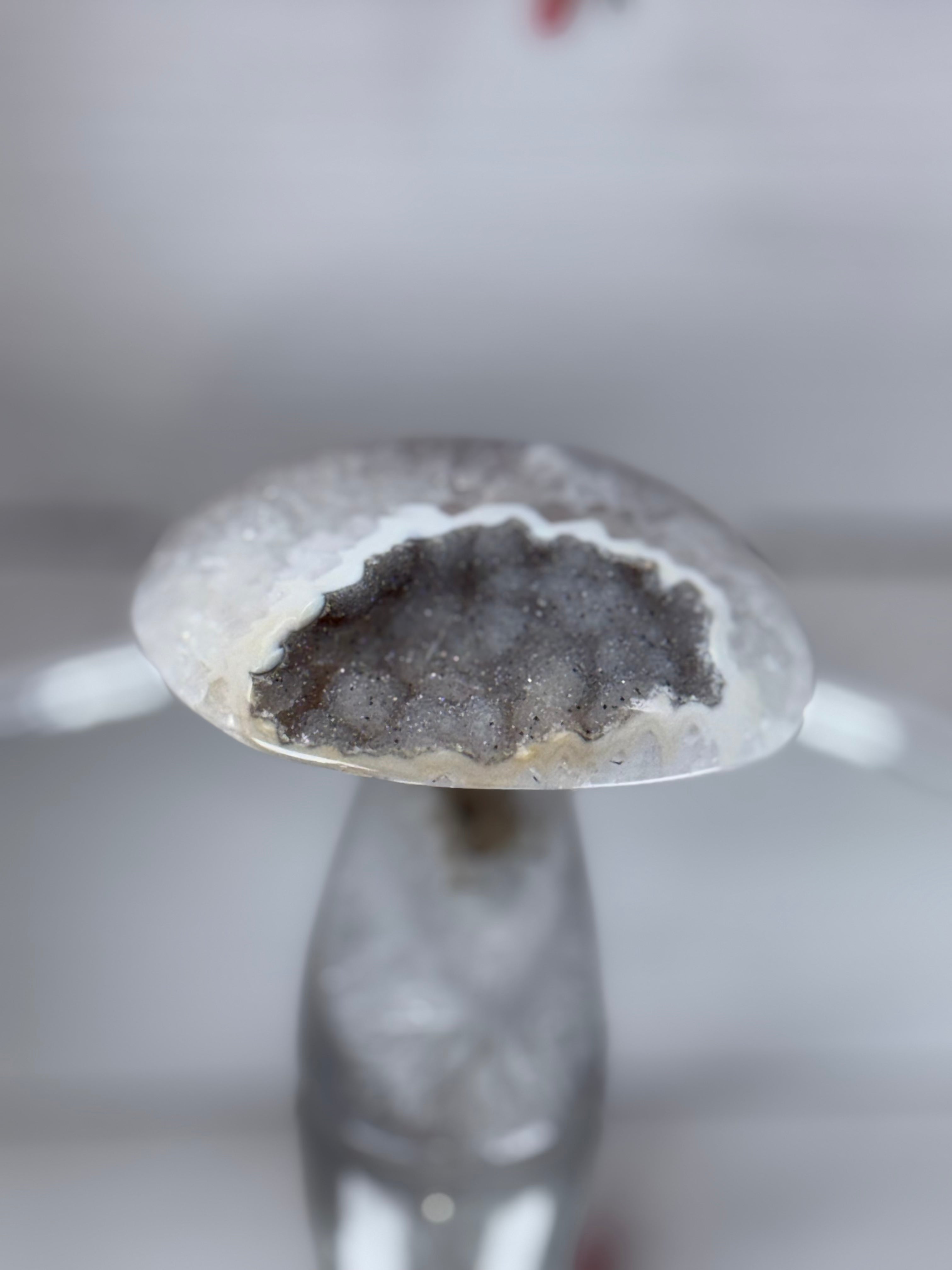 Brazilian Agate Mushroom A1108