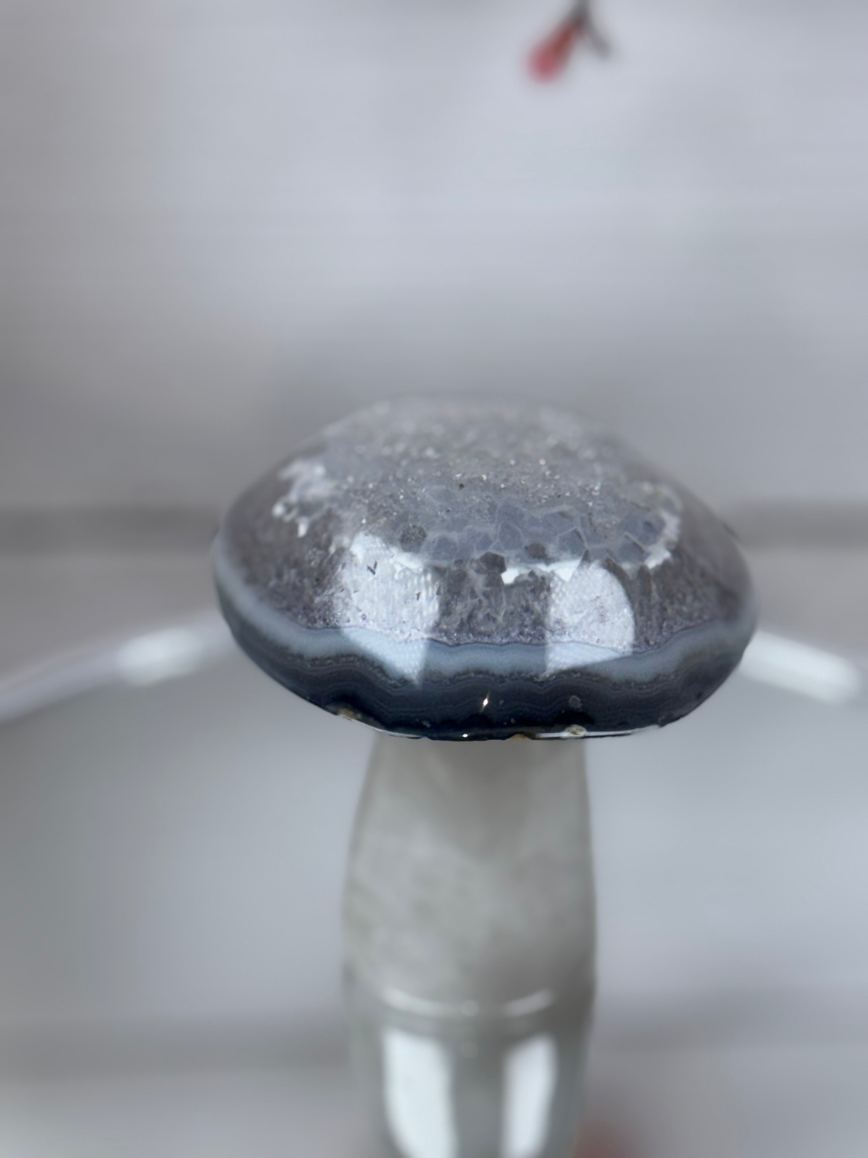 Brazilian Agate Mushroom A1109