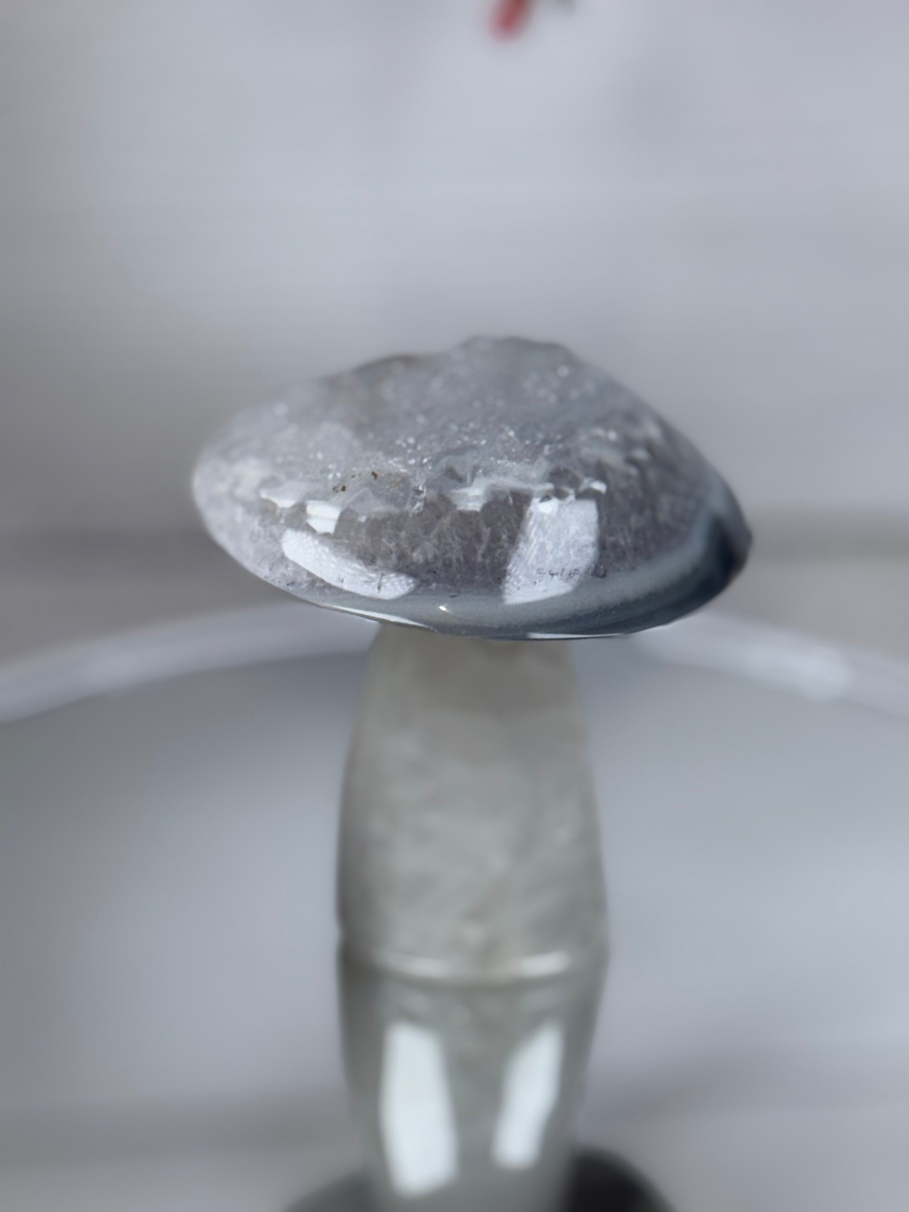 Brazilian Agate Mushroom A1109