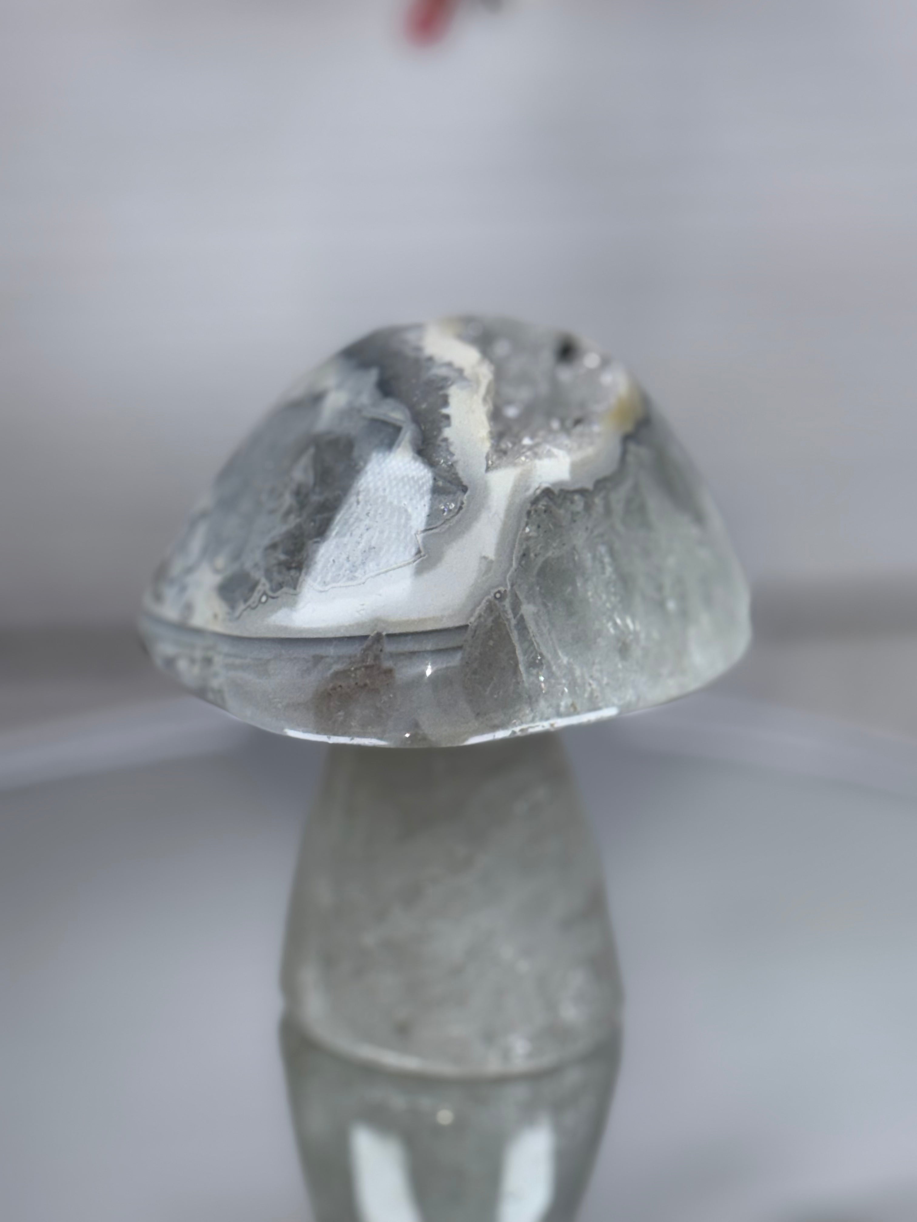 Brazilian Agate Mushroom A1110