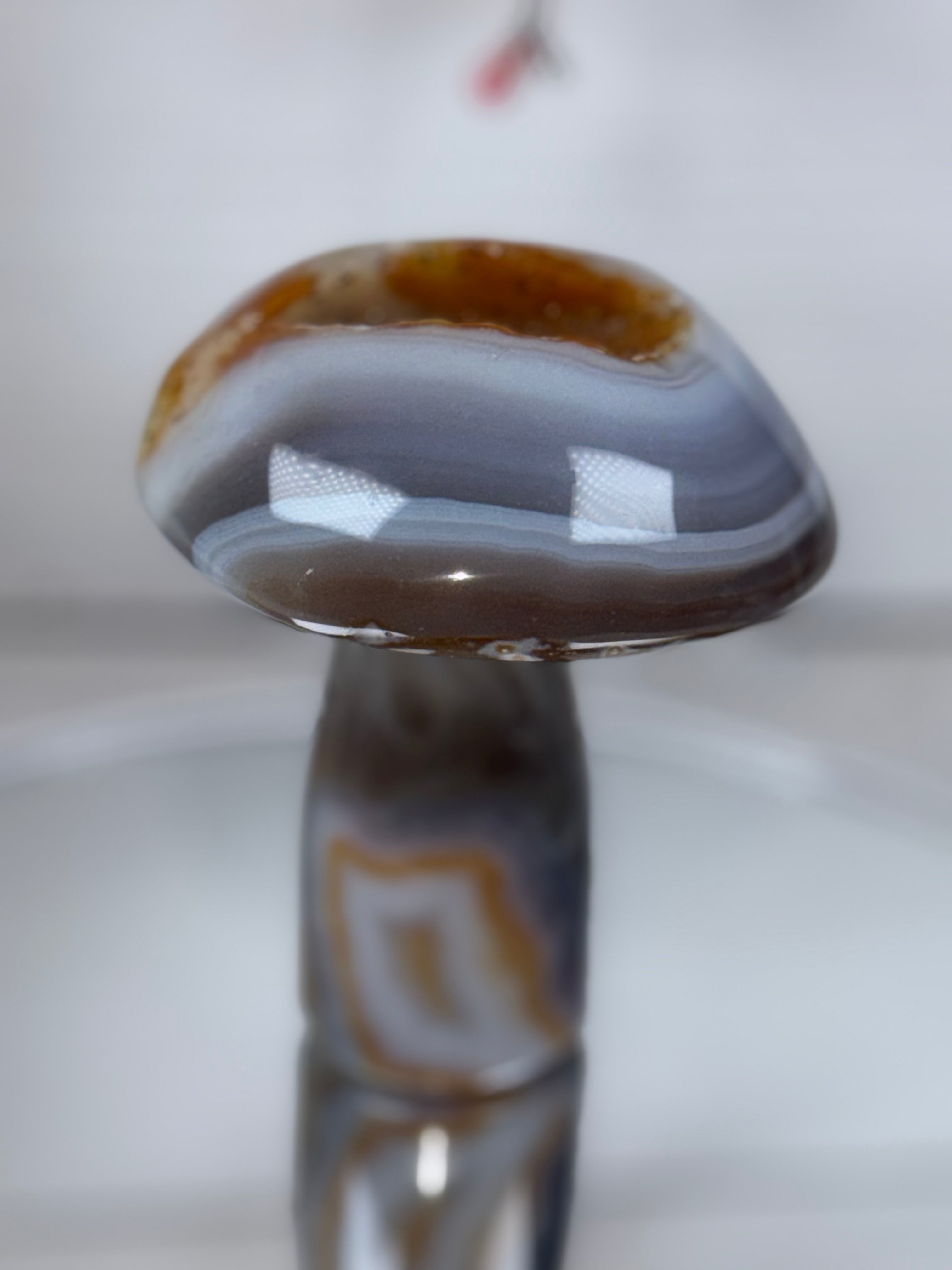 Brazilian Agate Mushroom A1111