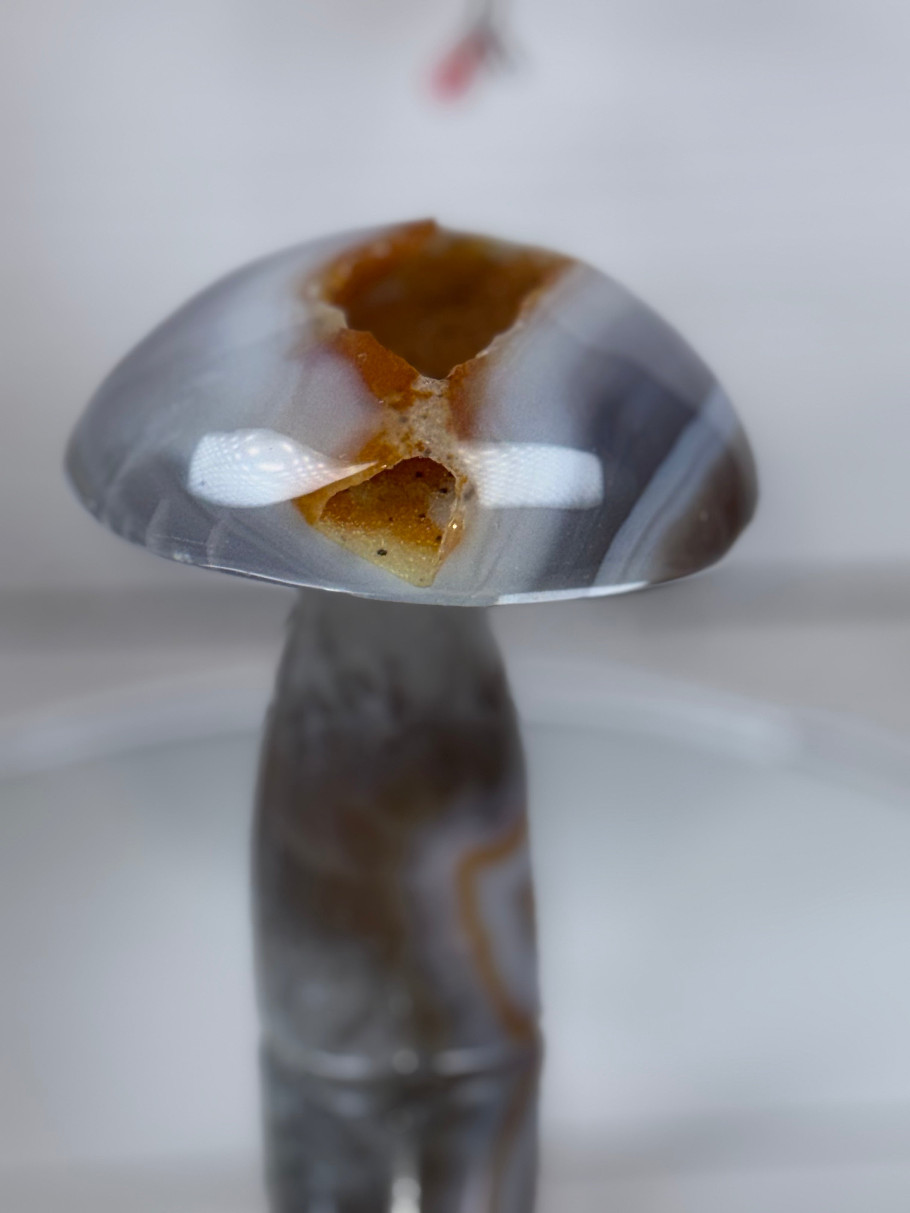 Brazilian Agate Mushroom A1111