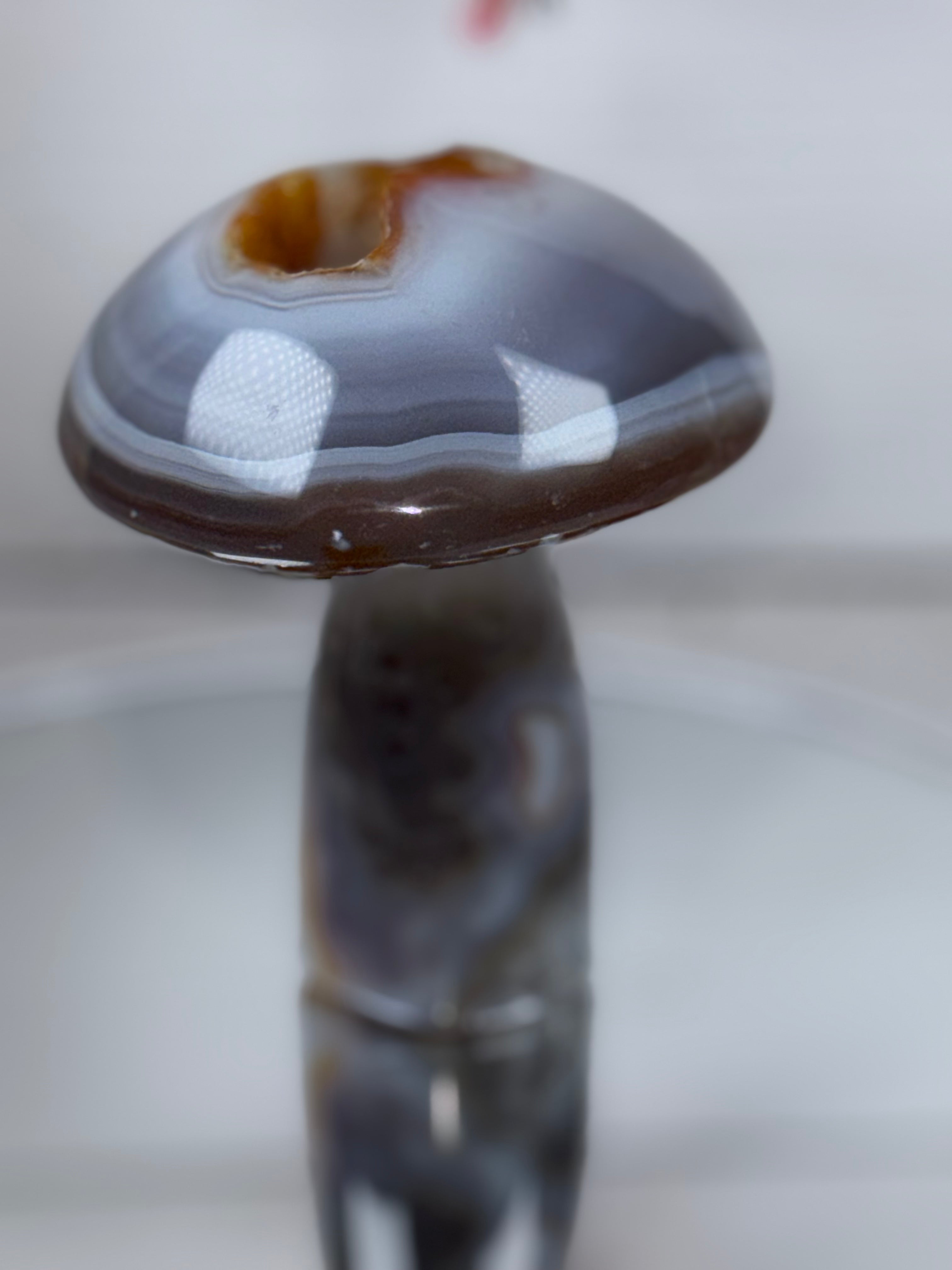 Brazilian Agate Mushroom A1111