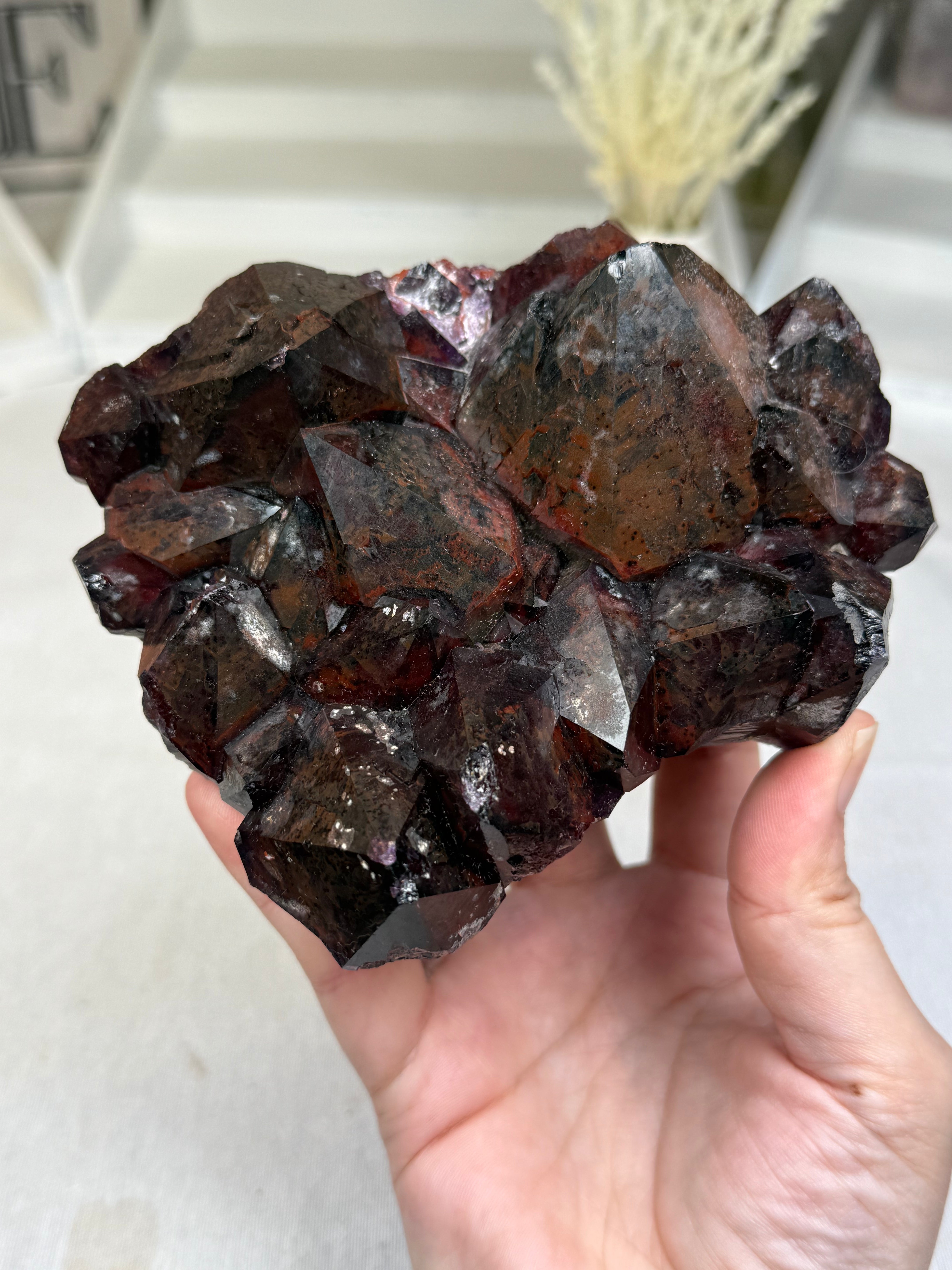 Hematite Included Amethyst