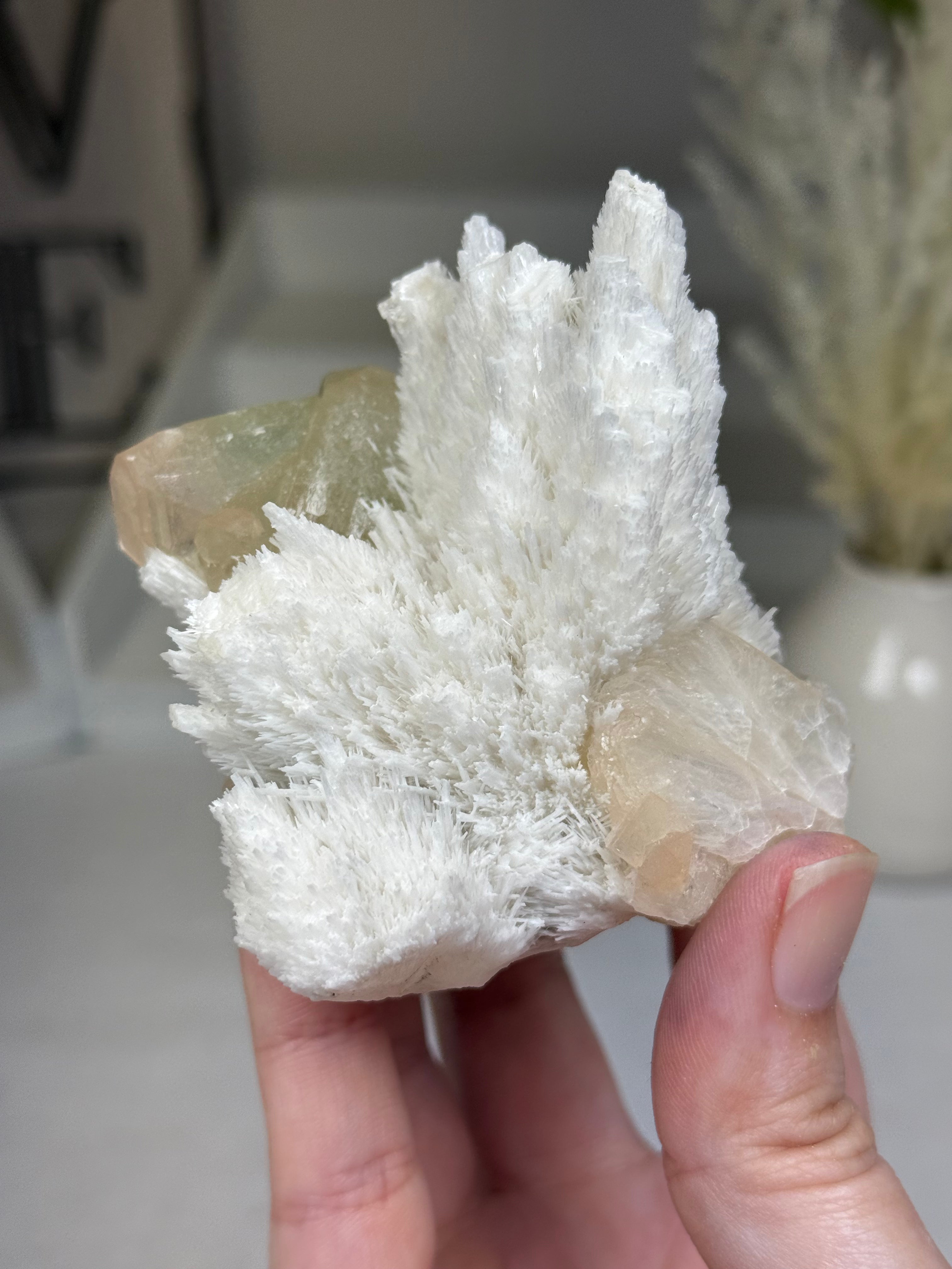 Yellow and Green Zoned Apophyllite with Mordenite